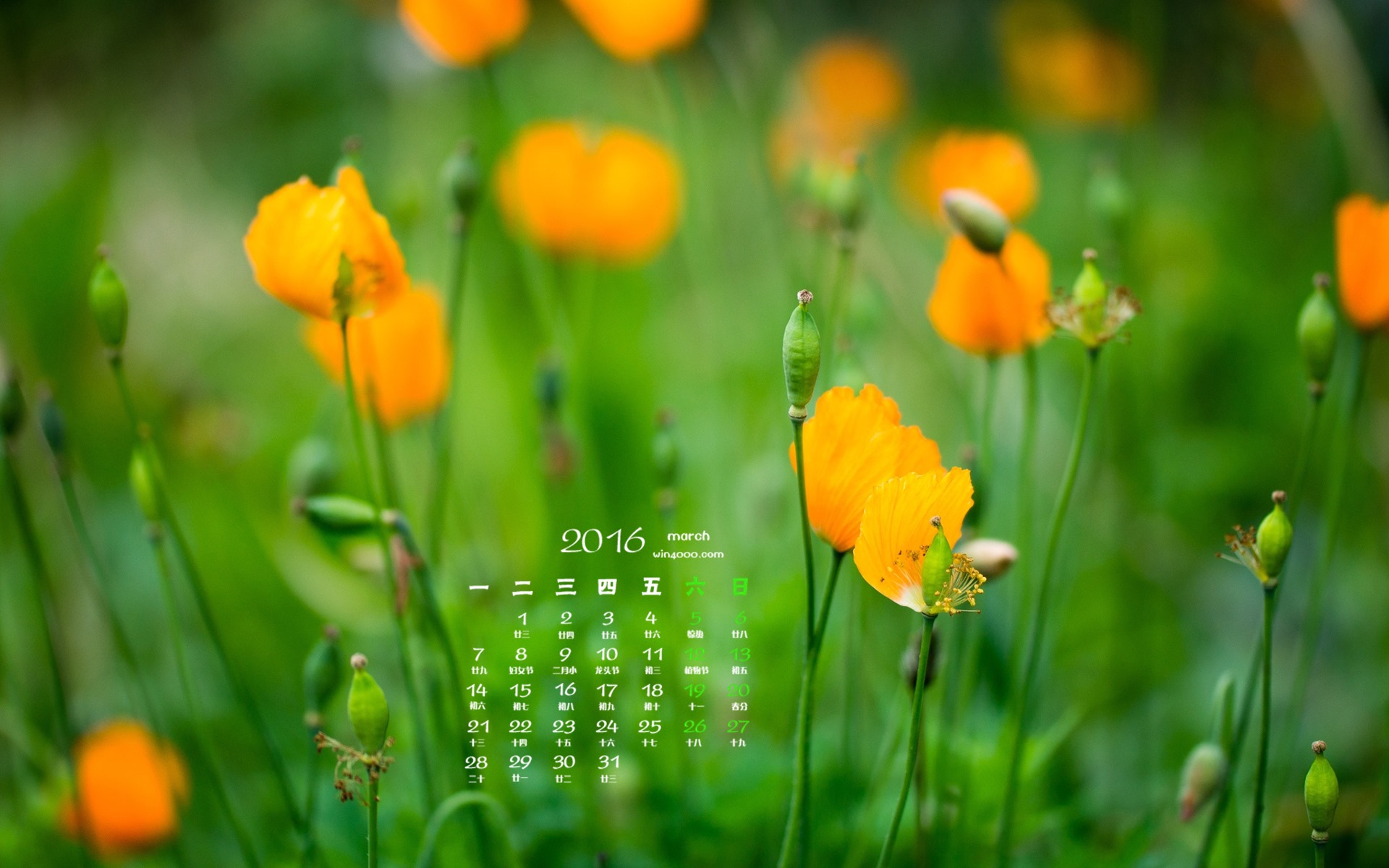 2016年3月 月曆壁紙(一) #14 - 1920x1200