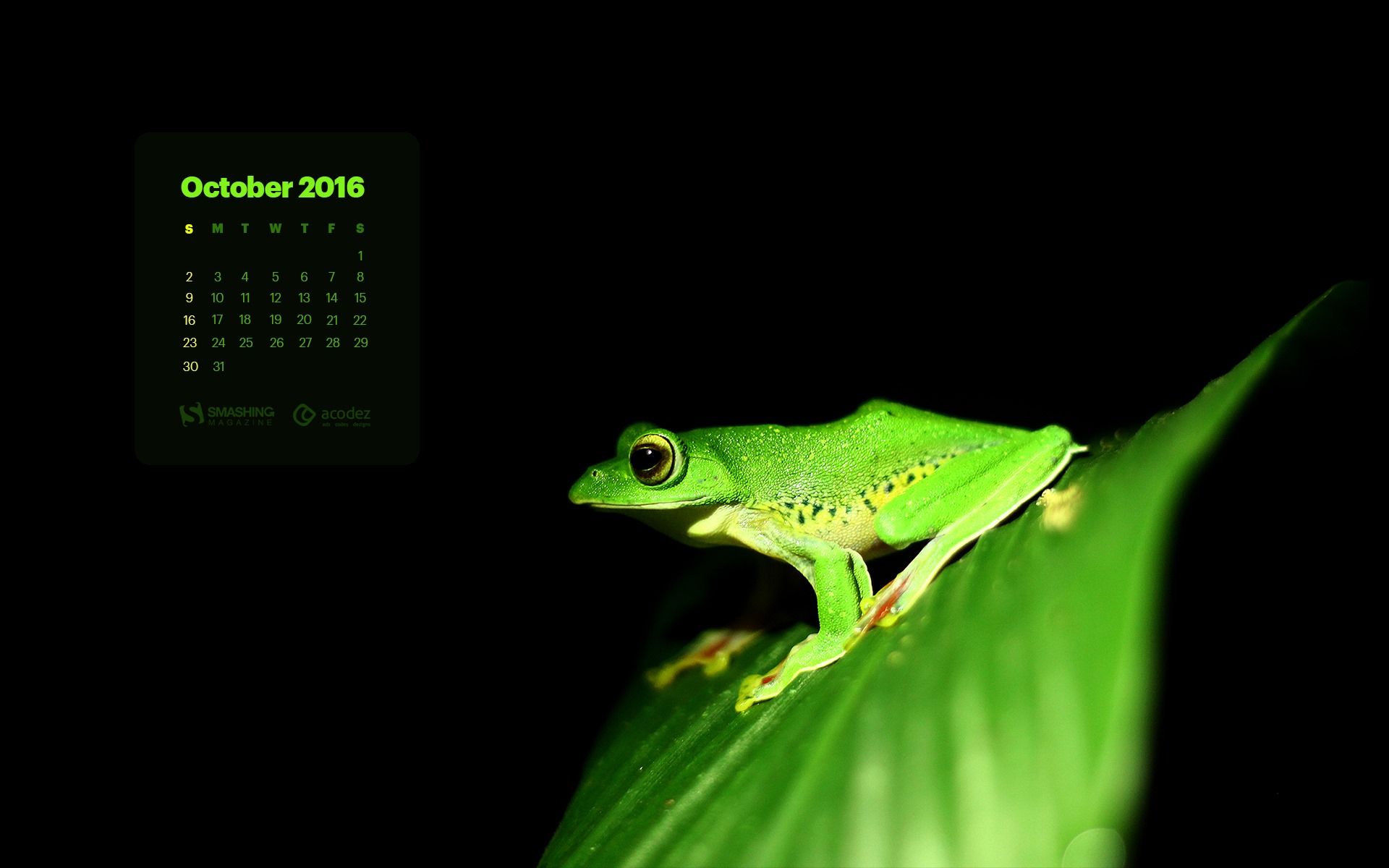 De octubre de el año 2016 fondo de pantalla de calendario (2) #12 - 1920x1200