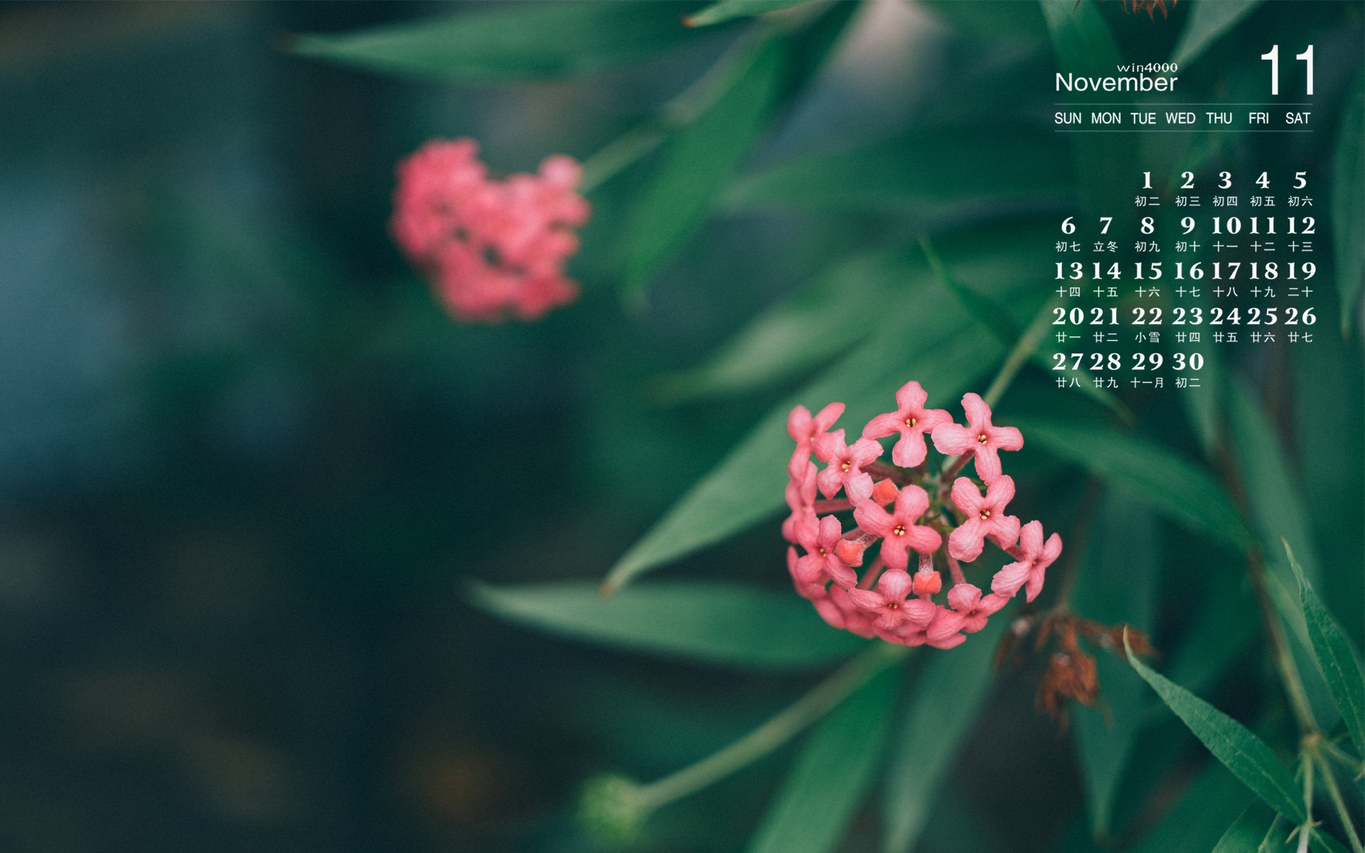 2016年11月 月曆壁紙(一) #2 - 1920x1200