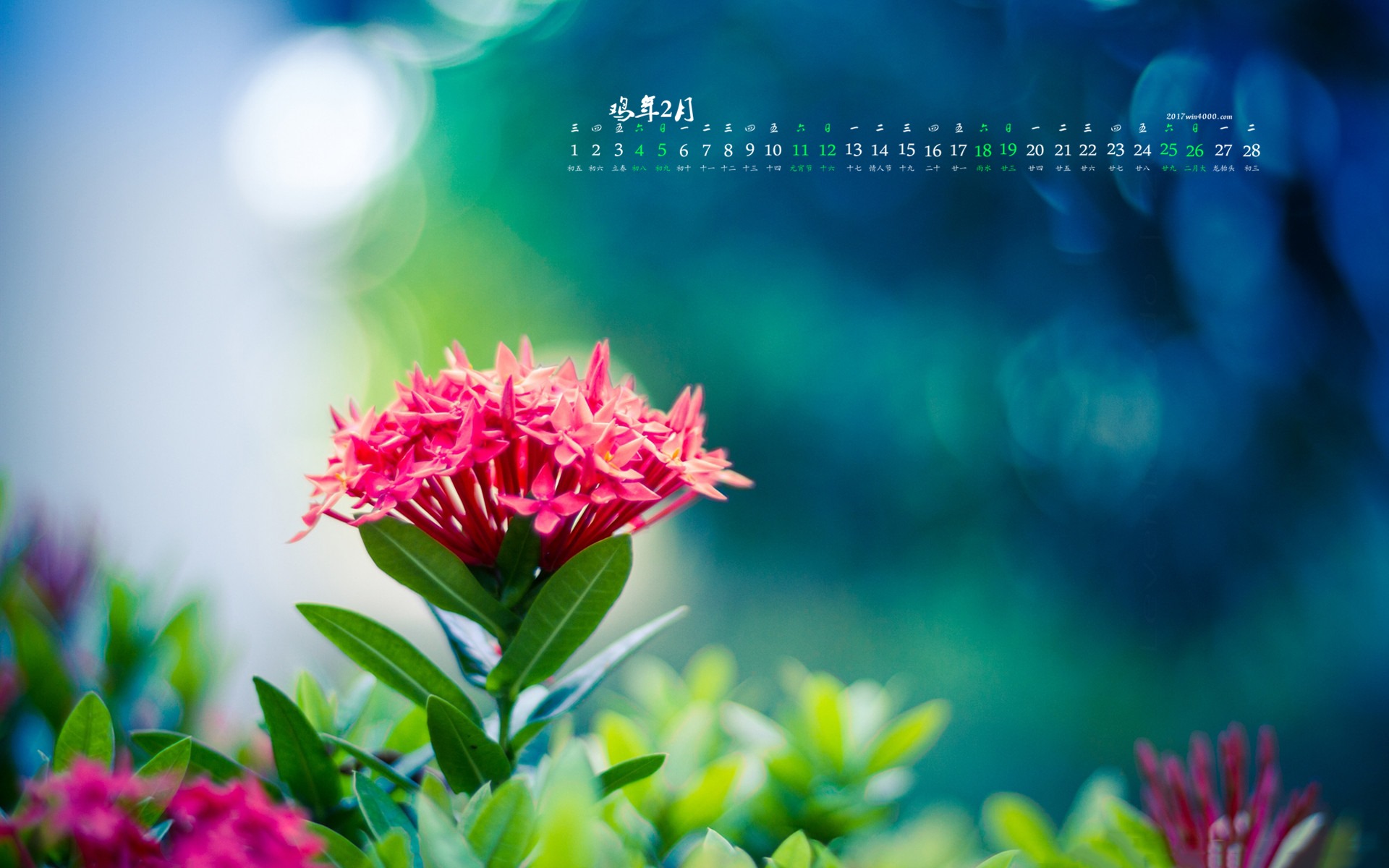 Fondo de escritorio de calendario de febrero de 2017 (1) #3 - 1920x1200