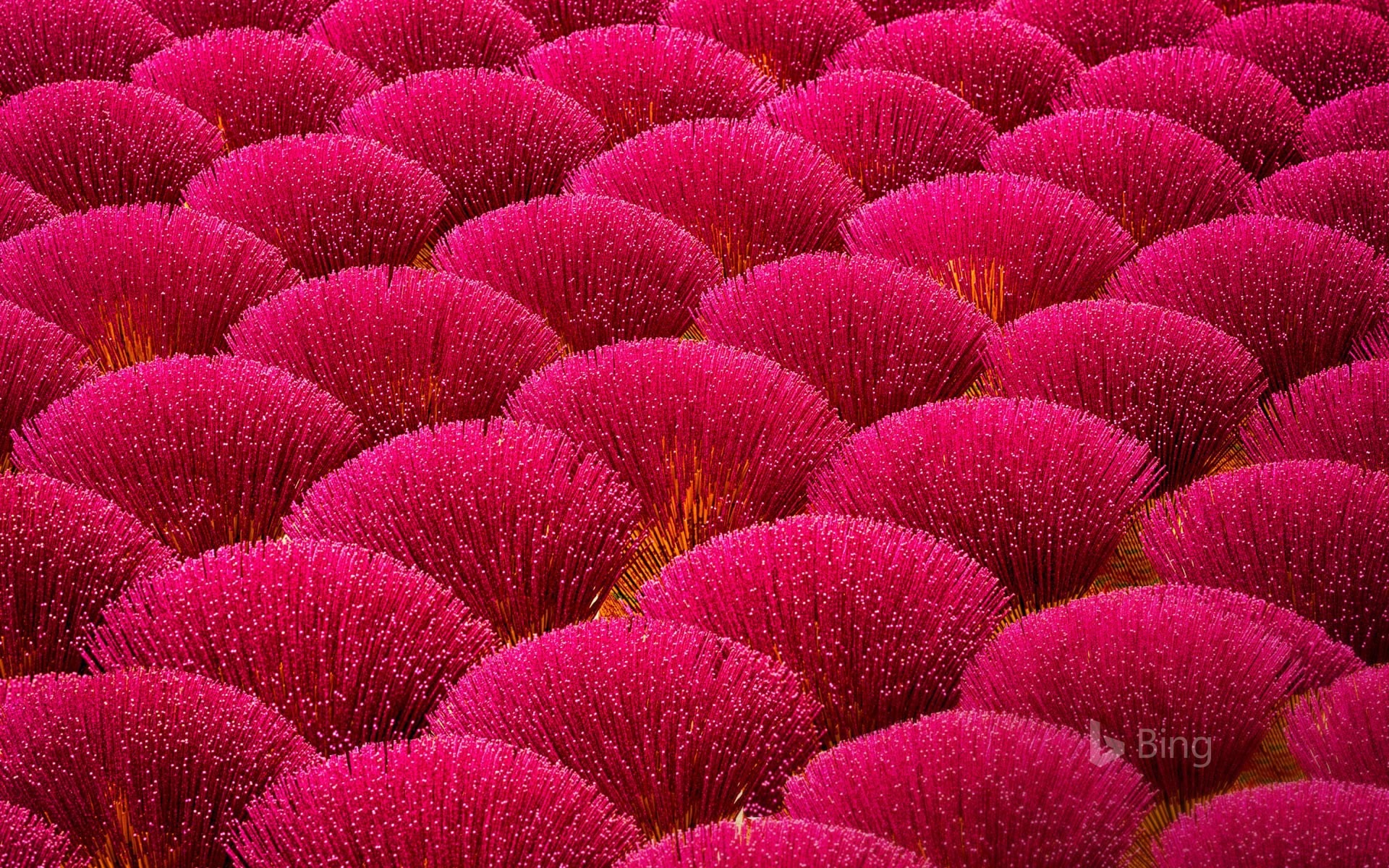 Mayo de 2017 Tema de Bing de fondo de pantalla de alta definición #16 - 1920x1200