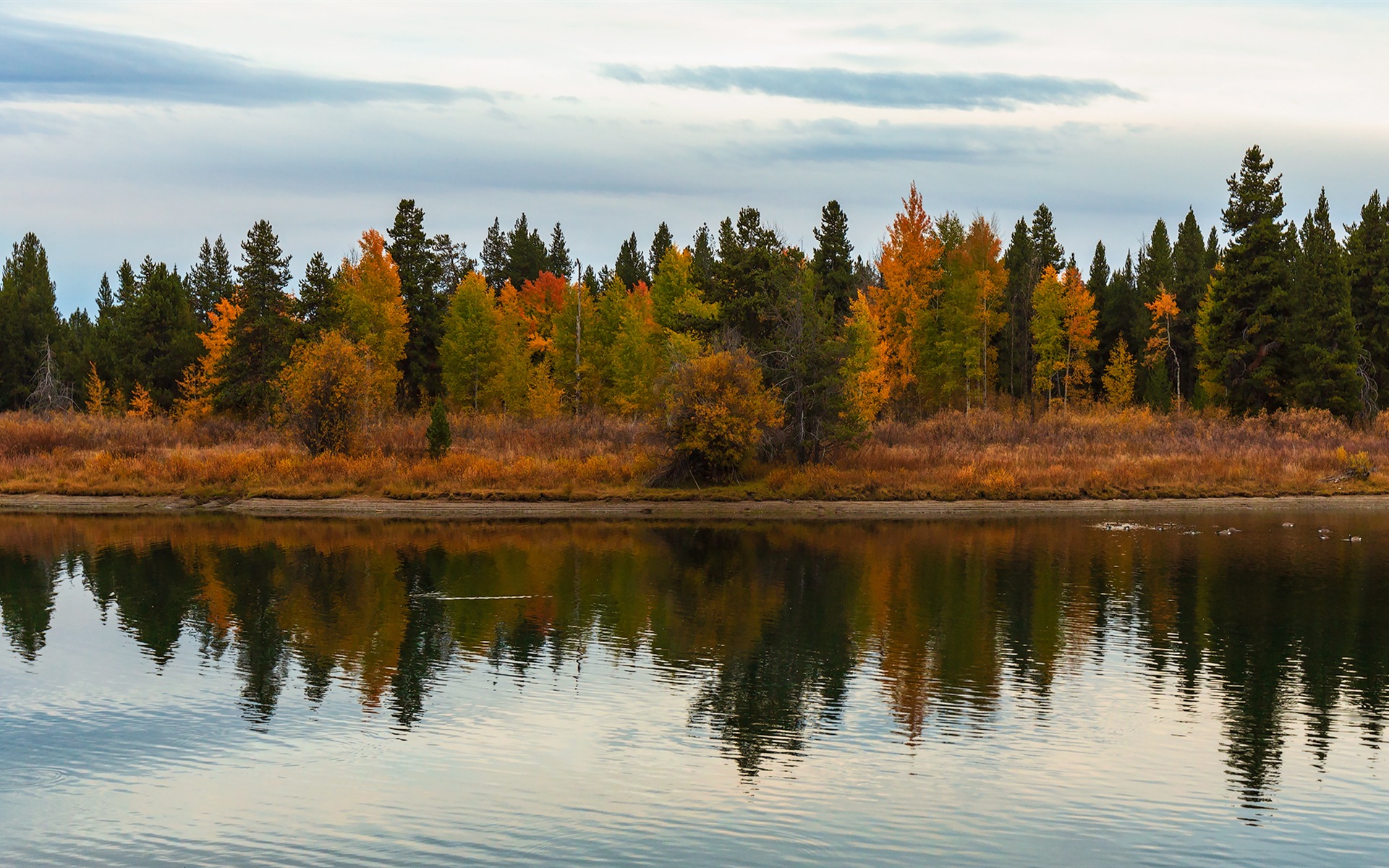 USA Grand Teton National Park nature landscape HD wallpapers #18 - 1920x1200