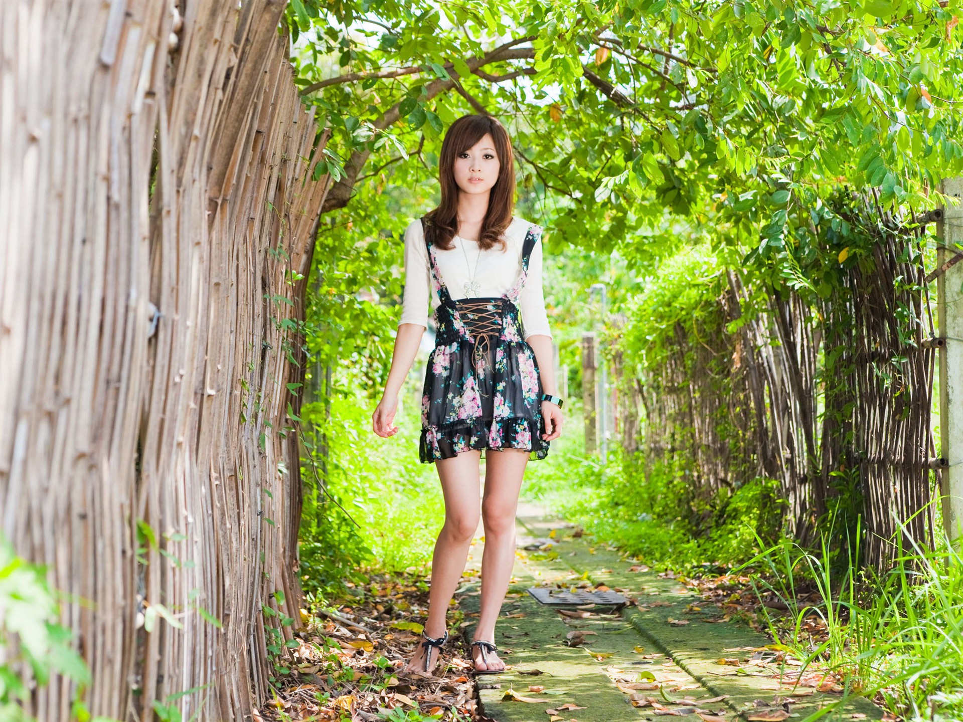 Taiwan fruit wallpaper album MM #19 - 1920x1440