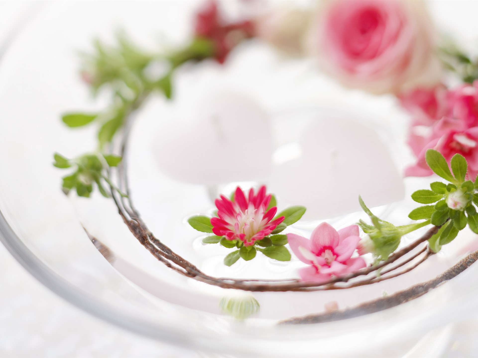 Flowers Gifts HD Wallpapers (1) #12 - 1920x1440
