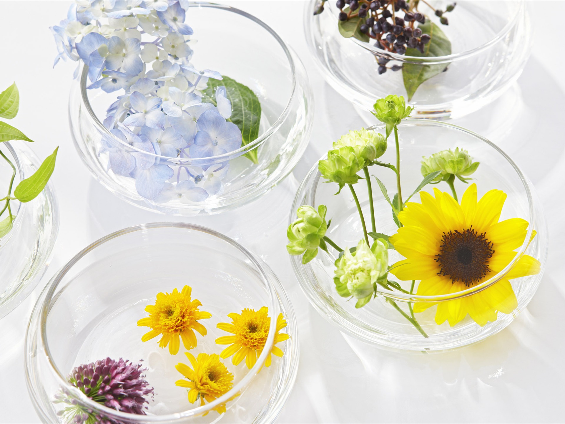 Flowers Gifts HD Wallpapers (1) #20 - 1920x1440