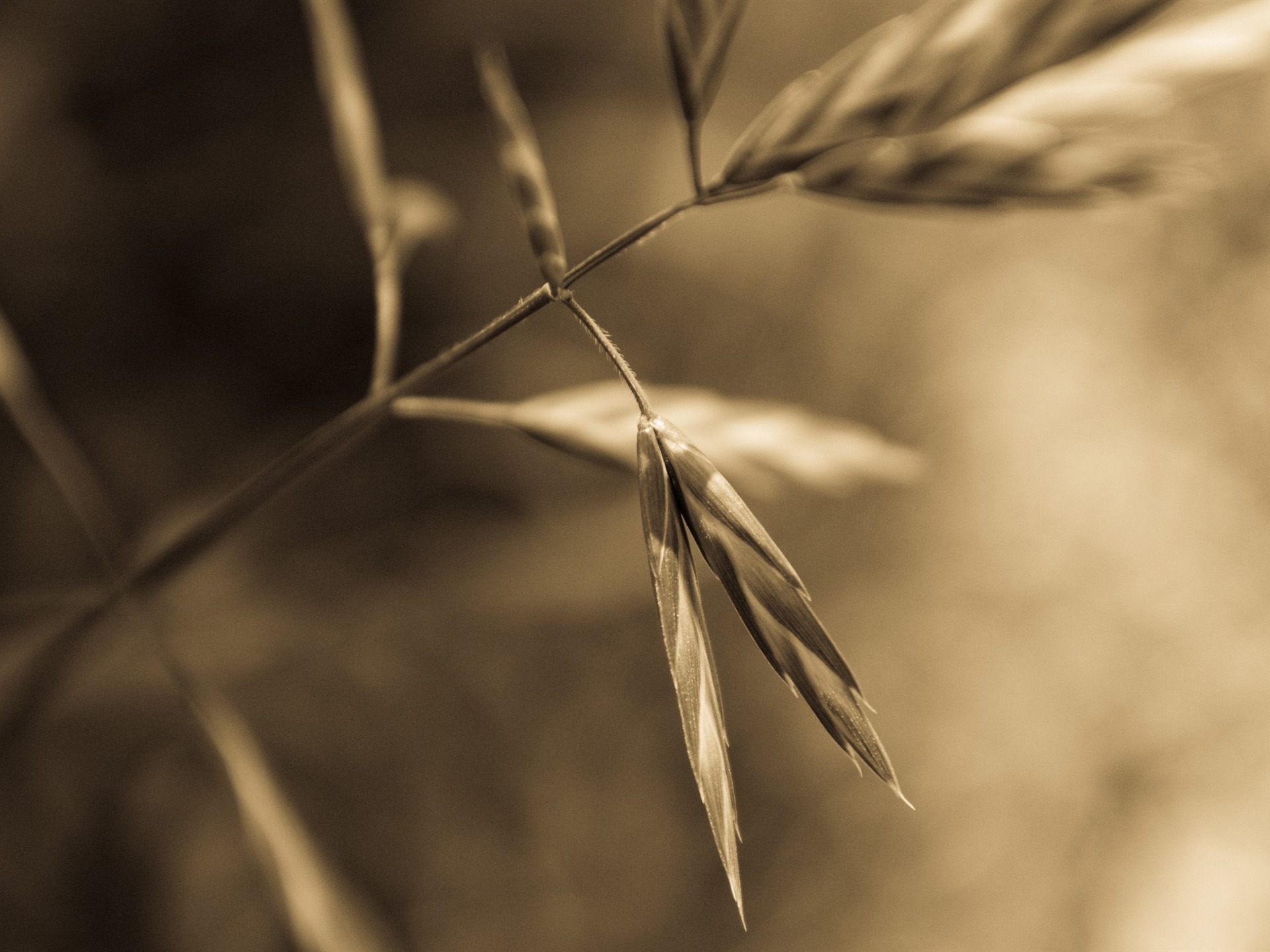 Cool design wallpaper selection #16 - 1920x1440