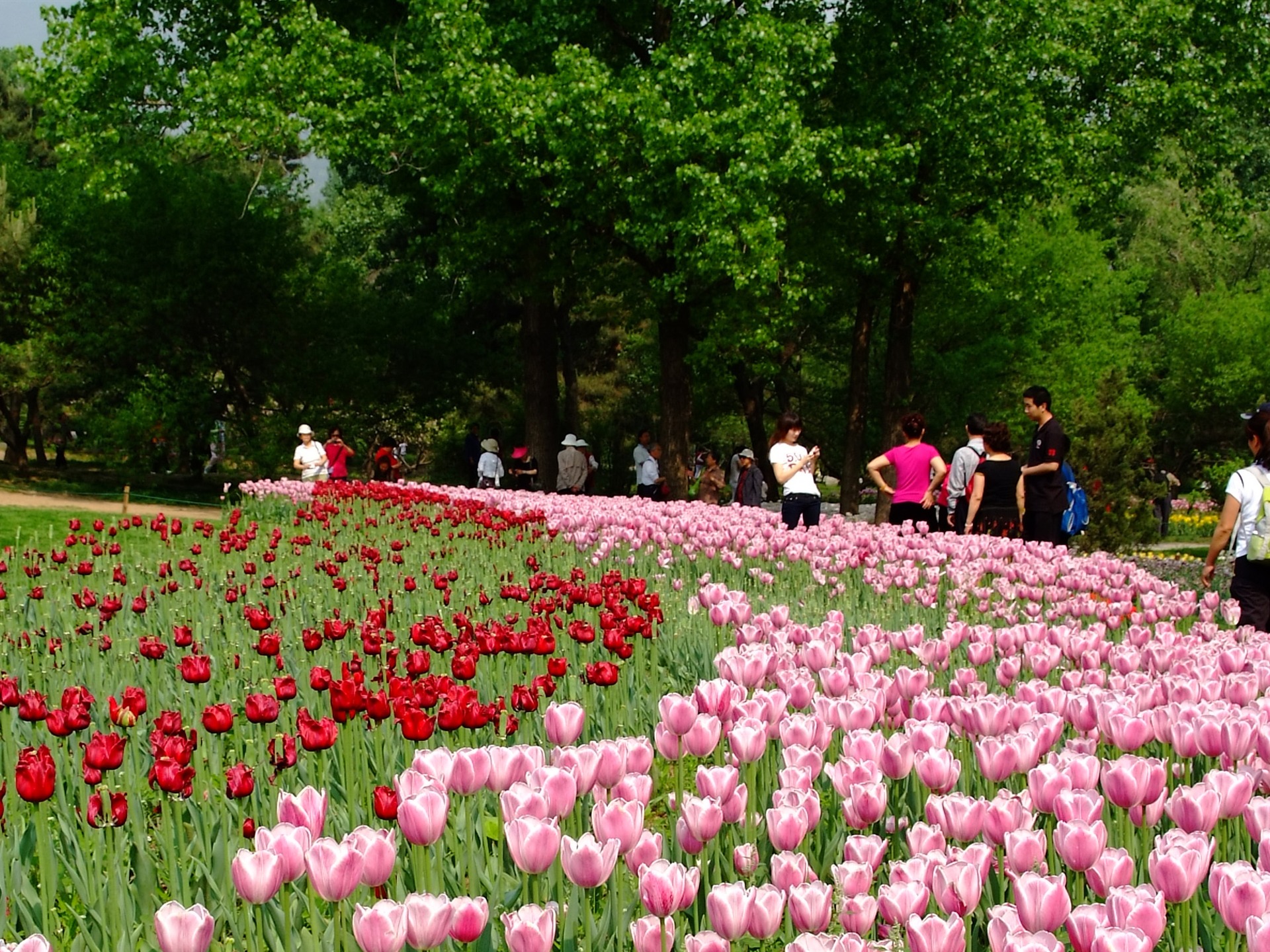 Xiangshan začátku letní zahrádka (prutu práce) #2 - 1920x1440