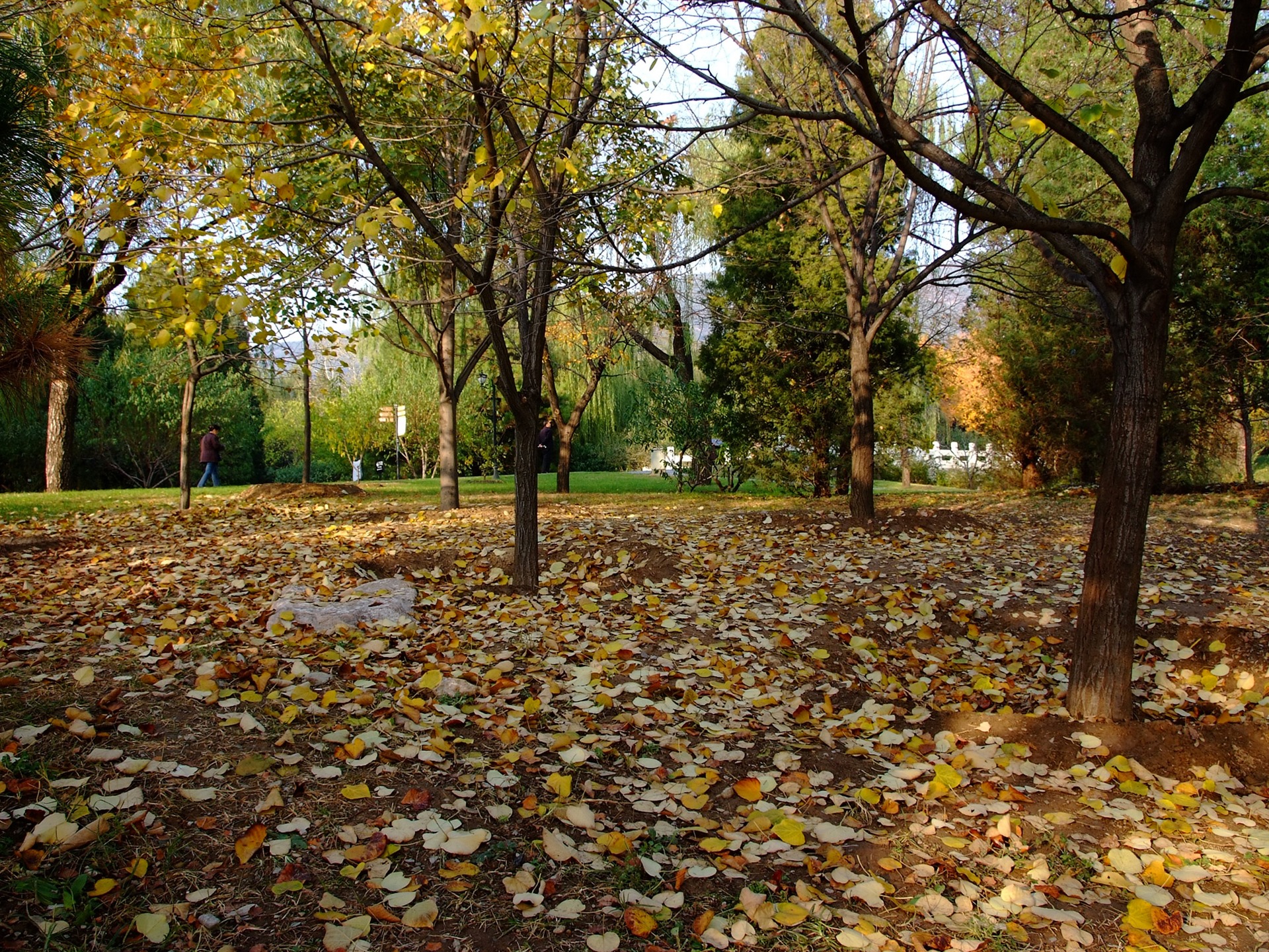 Xiangshan autumn garden (rebar works) #3 - 1920x1440