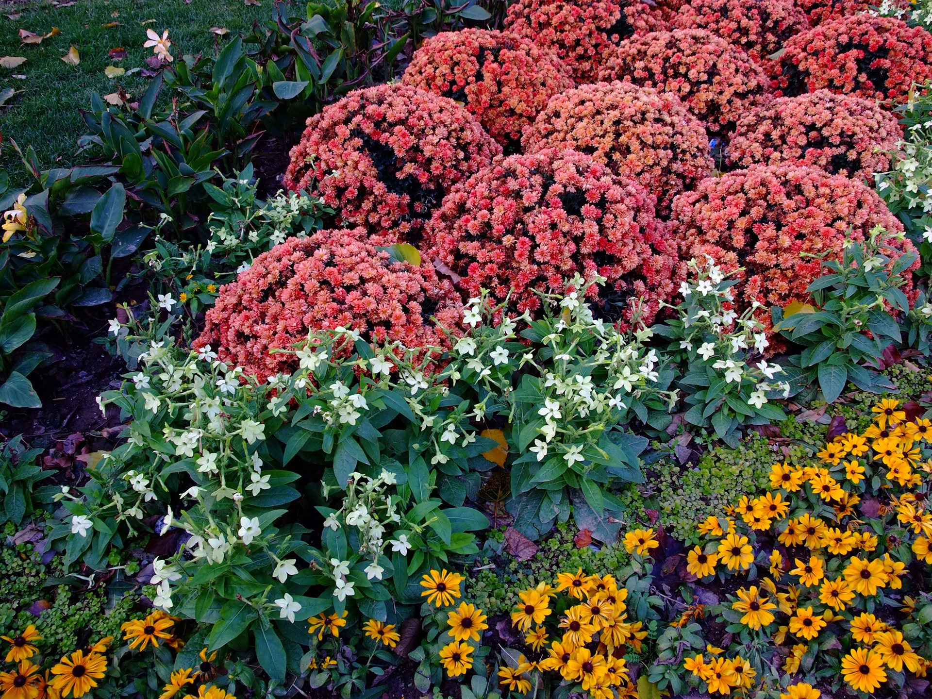 Xiangshan Herbst Garten (Bewehren) #5 - 1920x1440