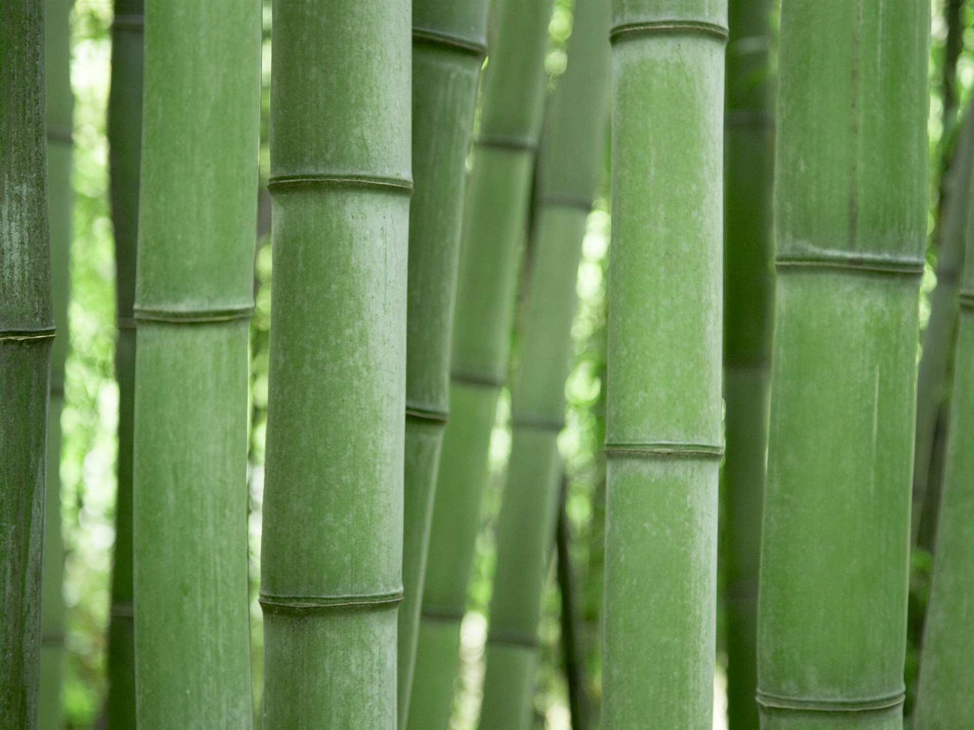 MAC OS X 系統 高清壁紙(一) #18 - 1920x1440