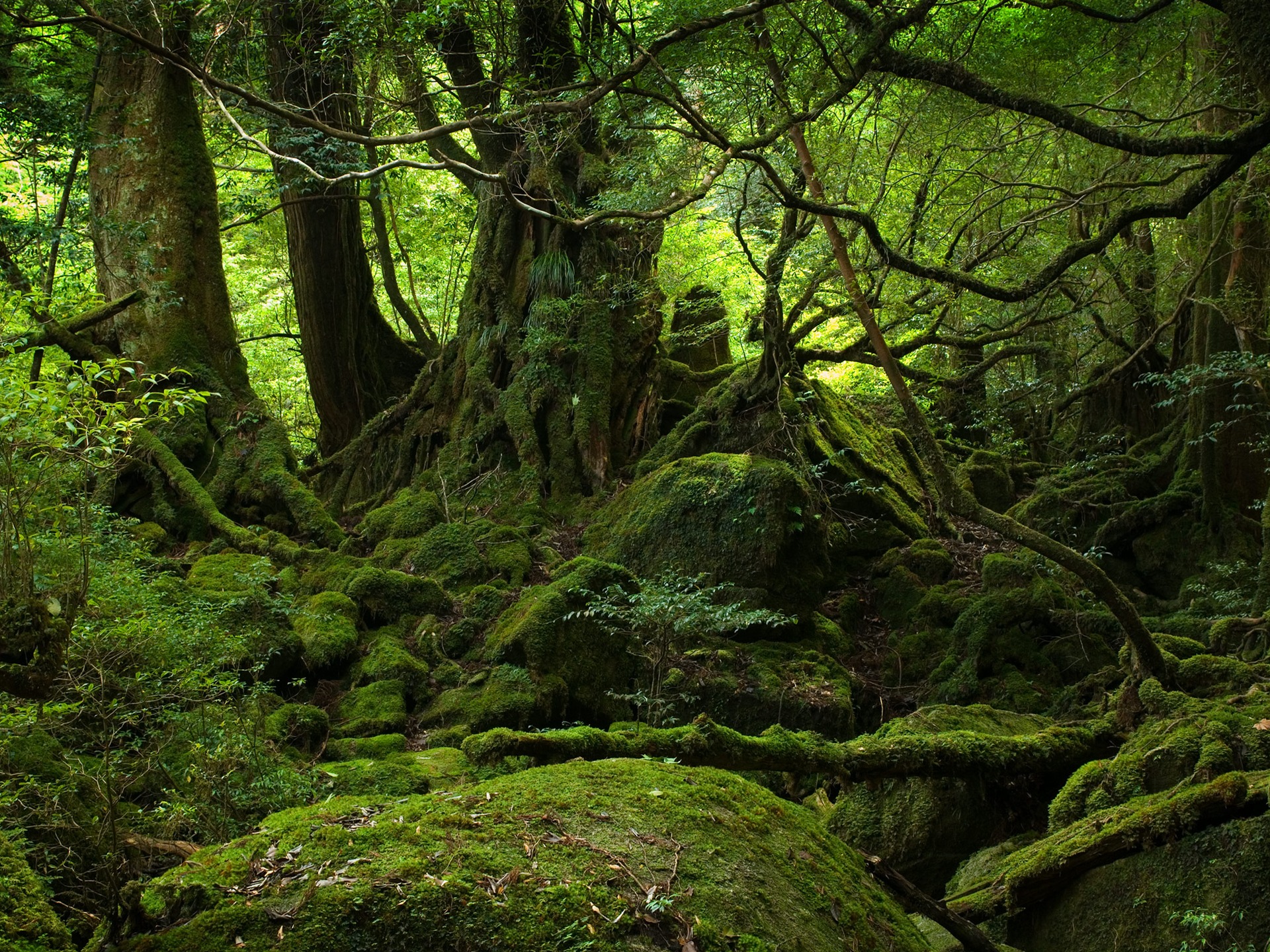 超大風光合集 壁紙(二) #11 - 1920x1440