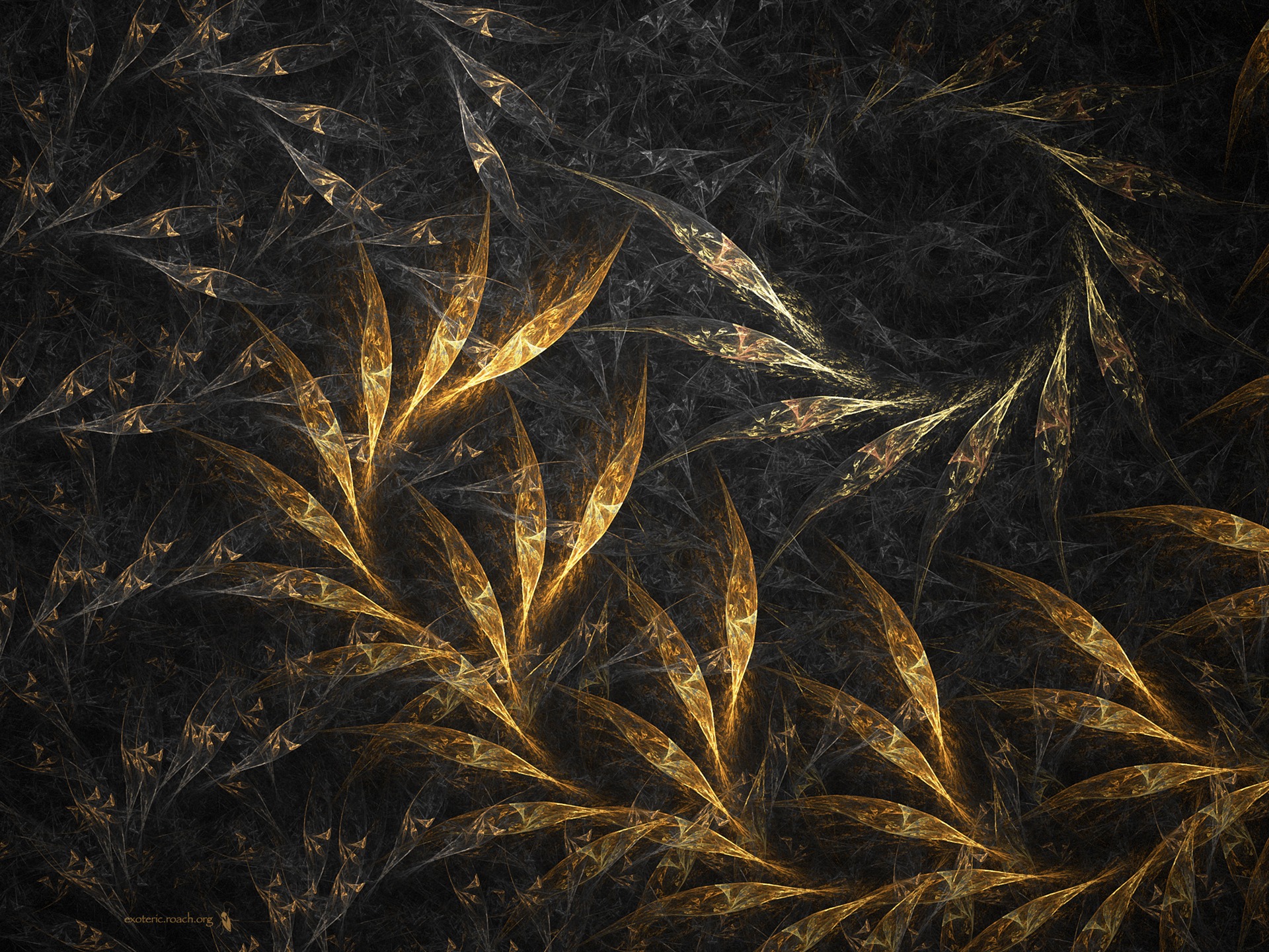 超大炫彩花紋 壁紙(一) #3 - 1920x1440