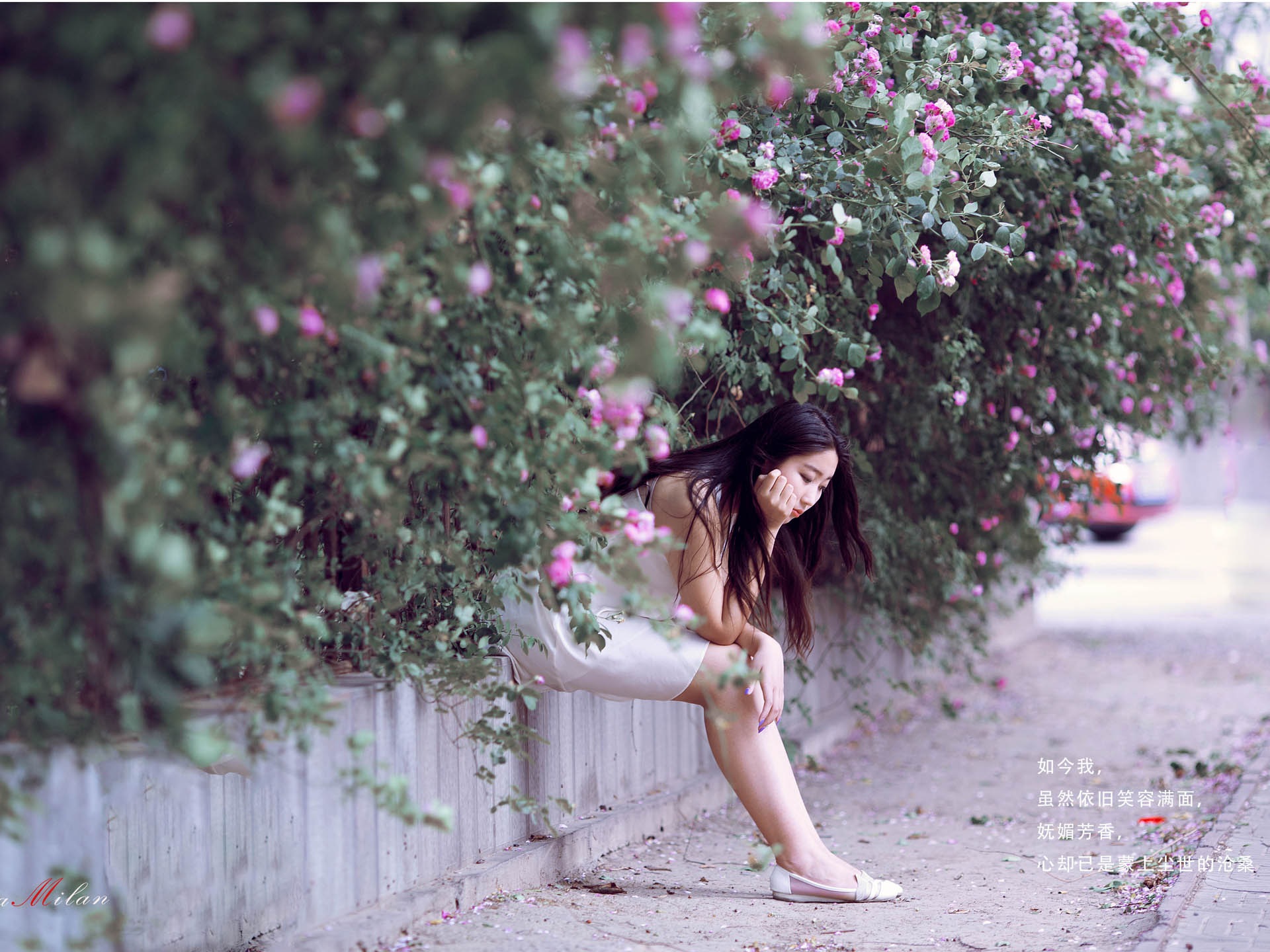 Hermosa chica con fondos de pantalla de alta definición de flores rosas #4 - 1920x1440
