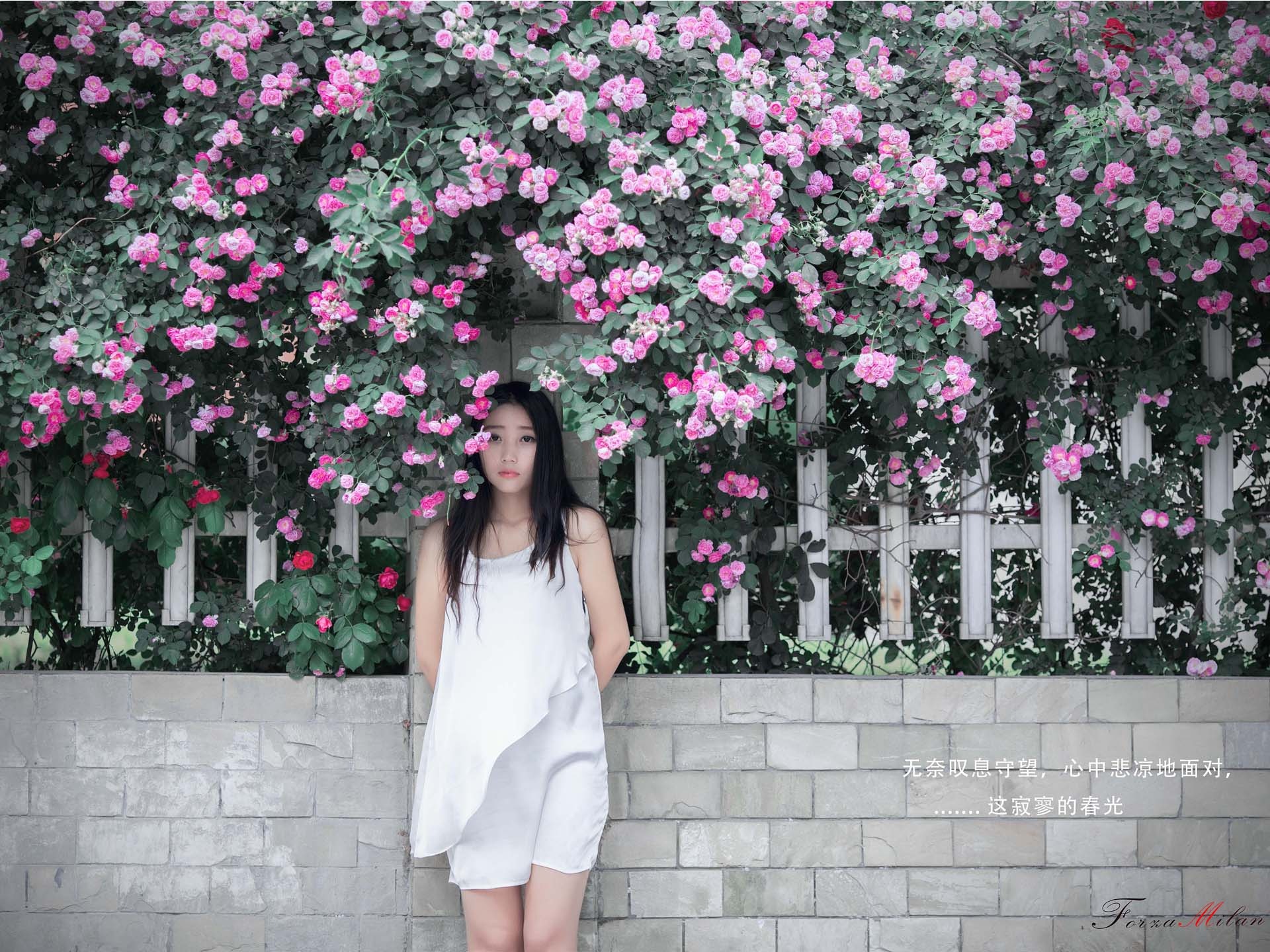 장미 꽃의 HD 배경 화면과 함께 아름 다운 소녀 #7 - 1920x1440