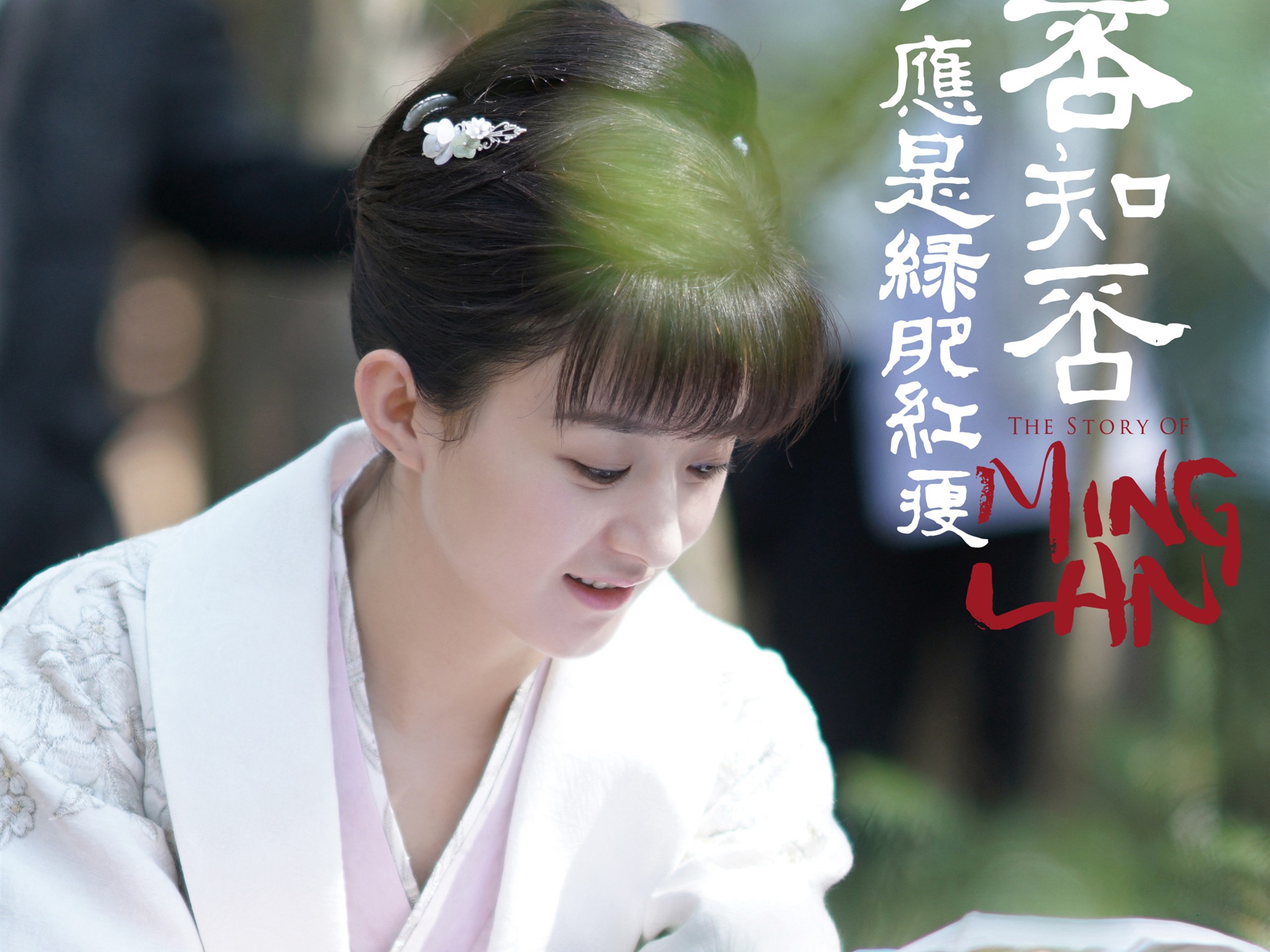 知否知否應是綠肥紅瘦 電視劇高清壁紙 #27 - 1920x1440