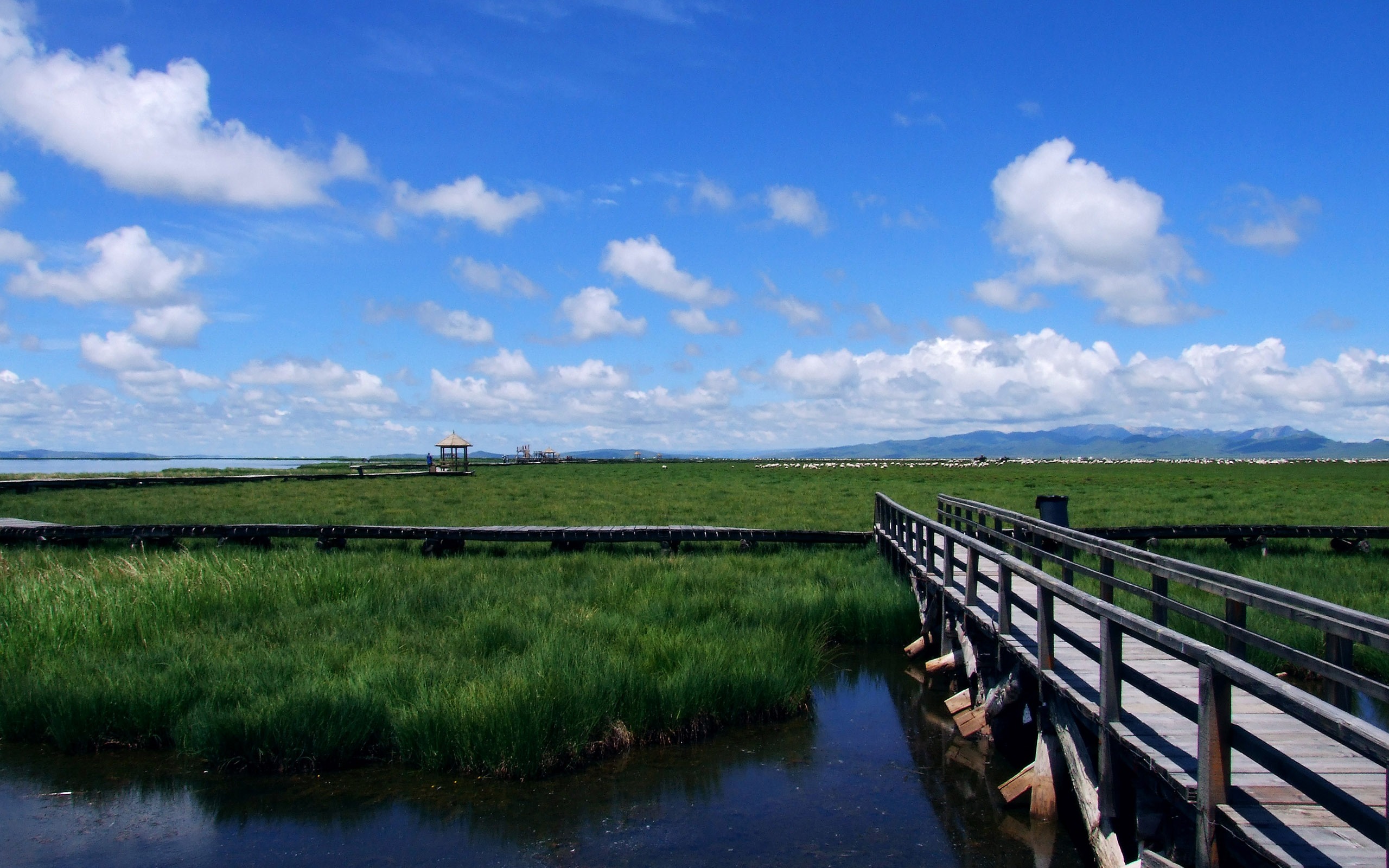 阿壩采風(二) (蟲天天作品) #8 - 2560x1600