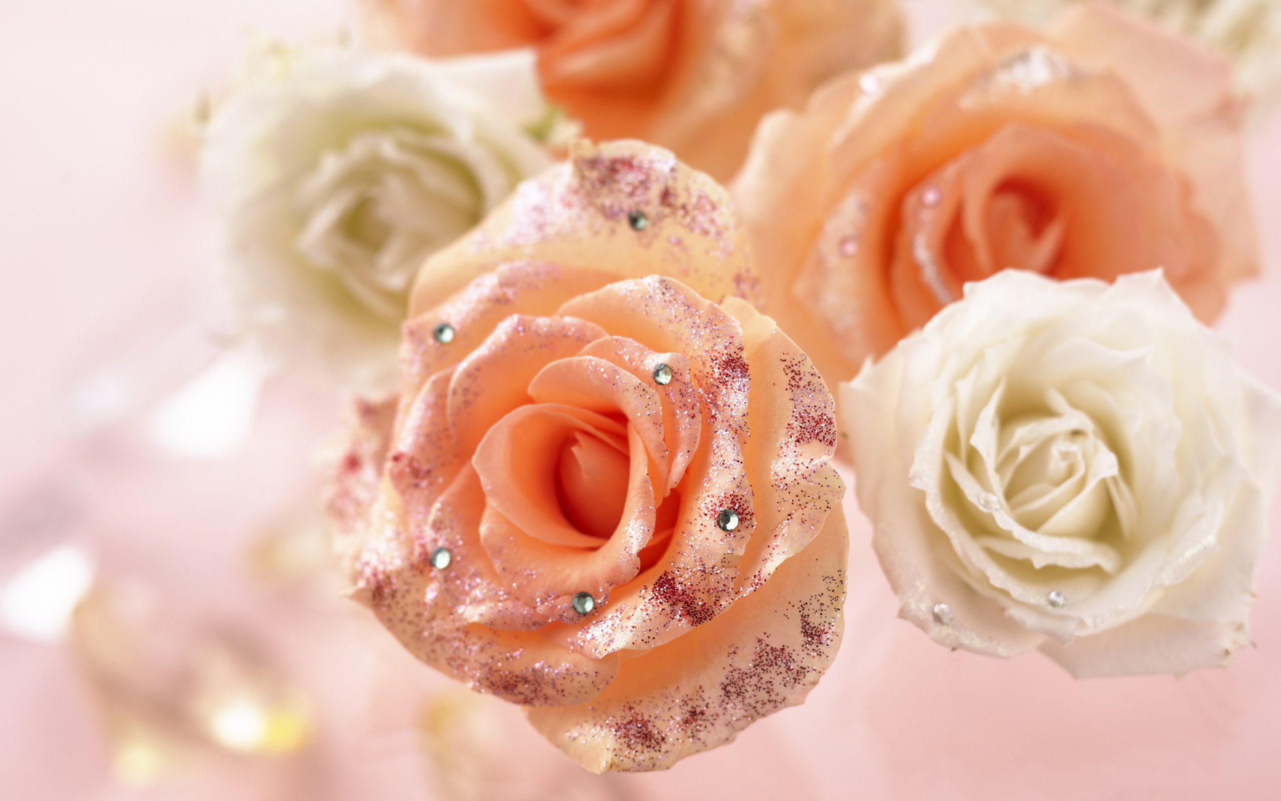 Flowers Gifts HD Wallpapers (1) #14 - 2560x1600