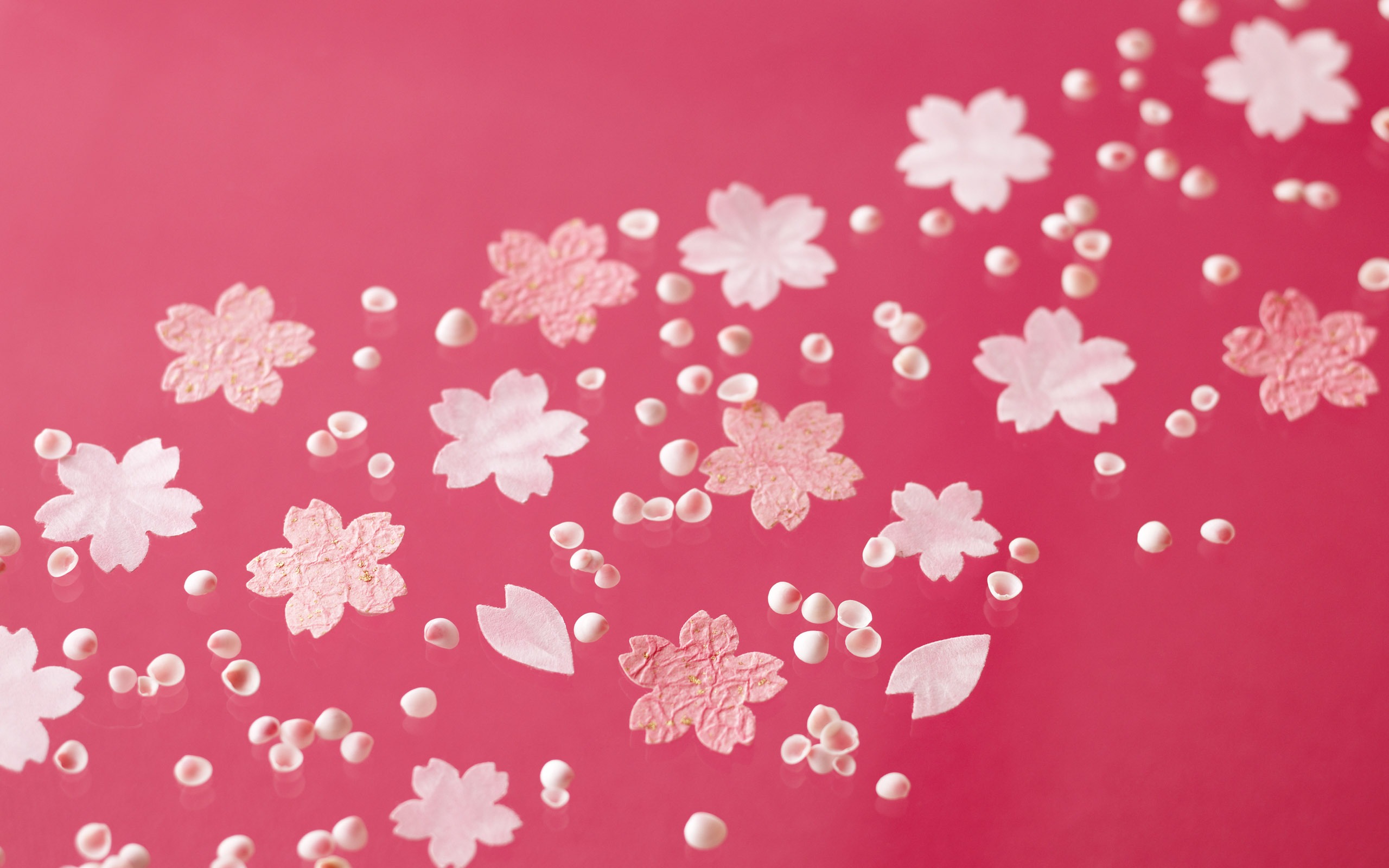 花卉禮品高清壁紙(四) #4 - 2560x1600
