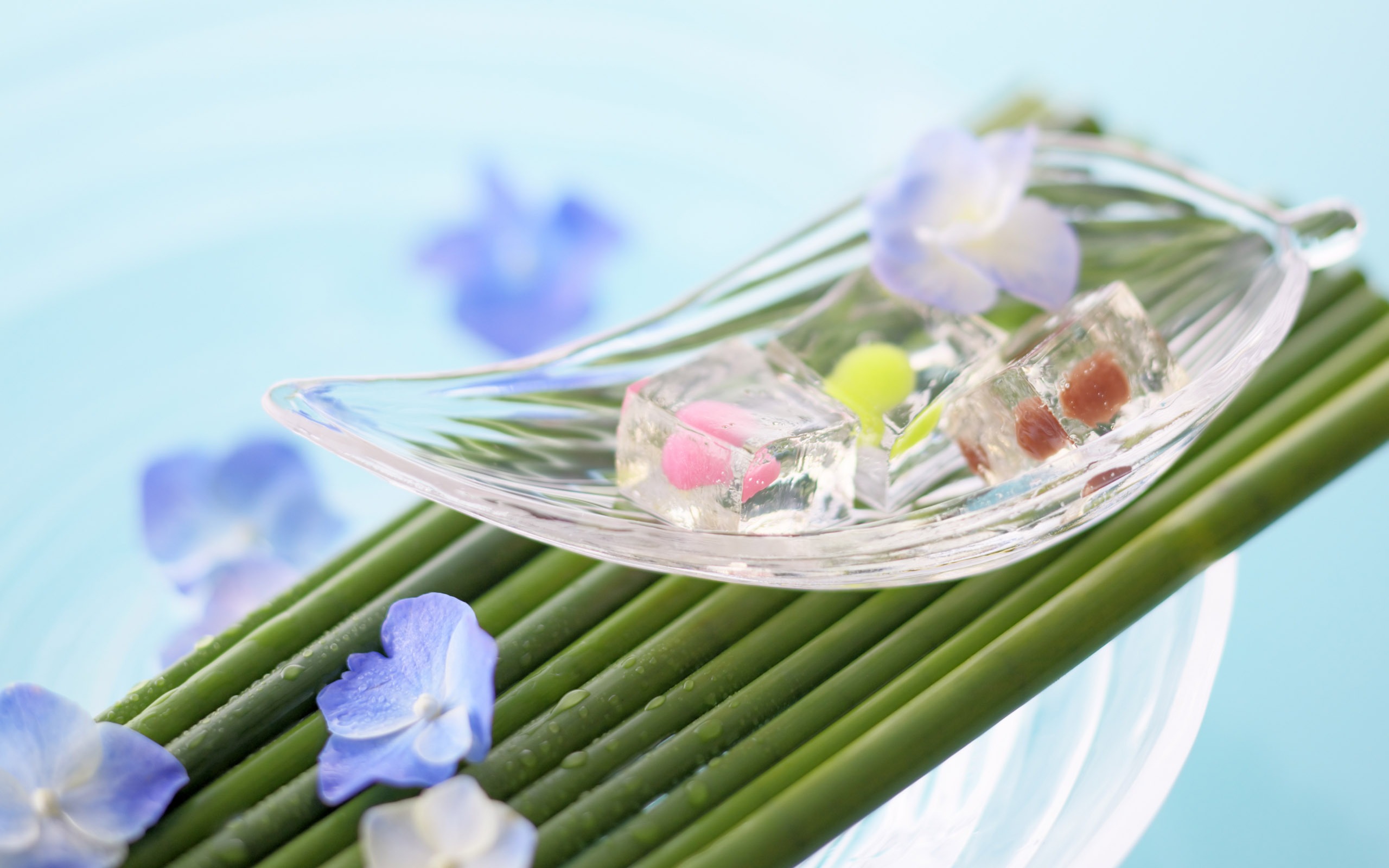 花卉禮品高清壁紙(四) #10 - 2560x1600