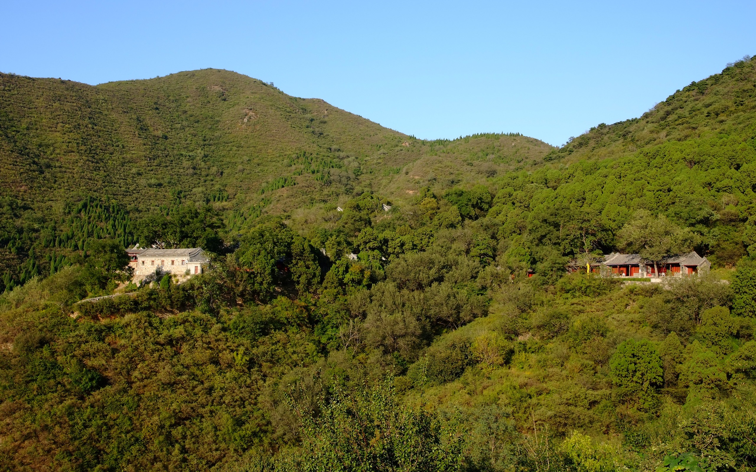 京西古蹟 慈善寺 (螺紋鋼作品) #3 - 2560x1600