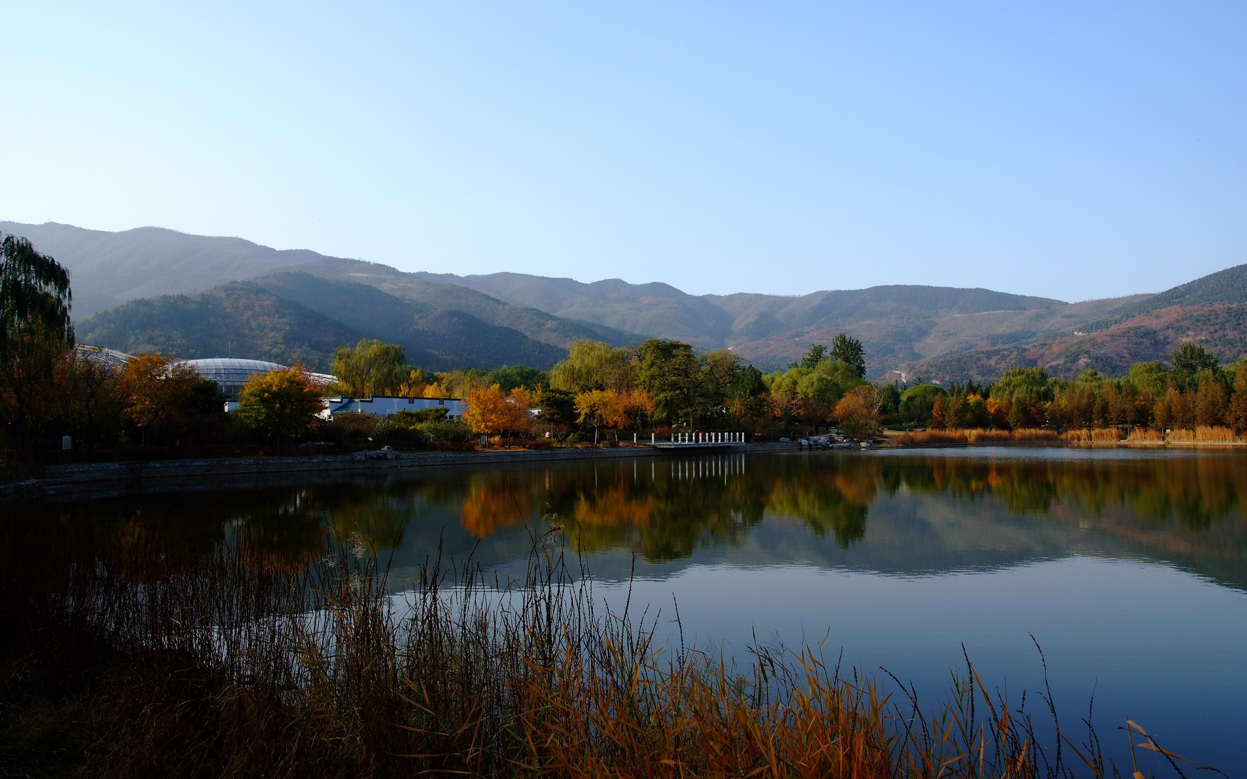 Xiangshan jardín de otoño (obras barras de refuerzo) #7 - 2560x1600