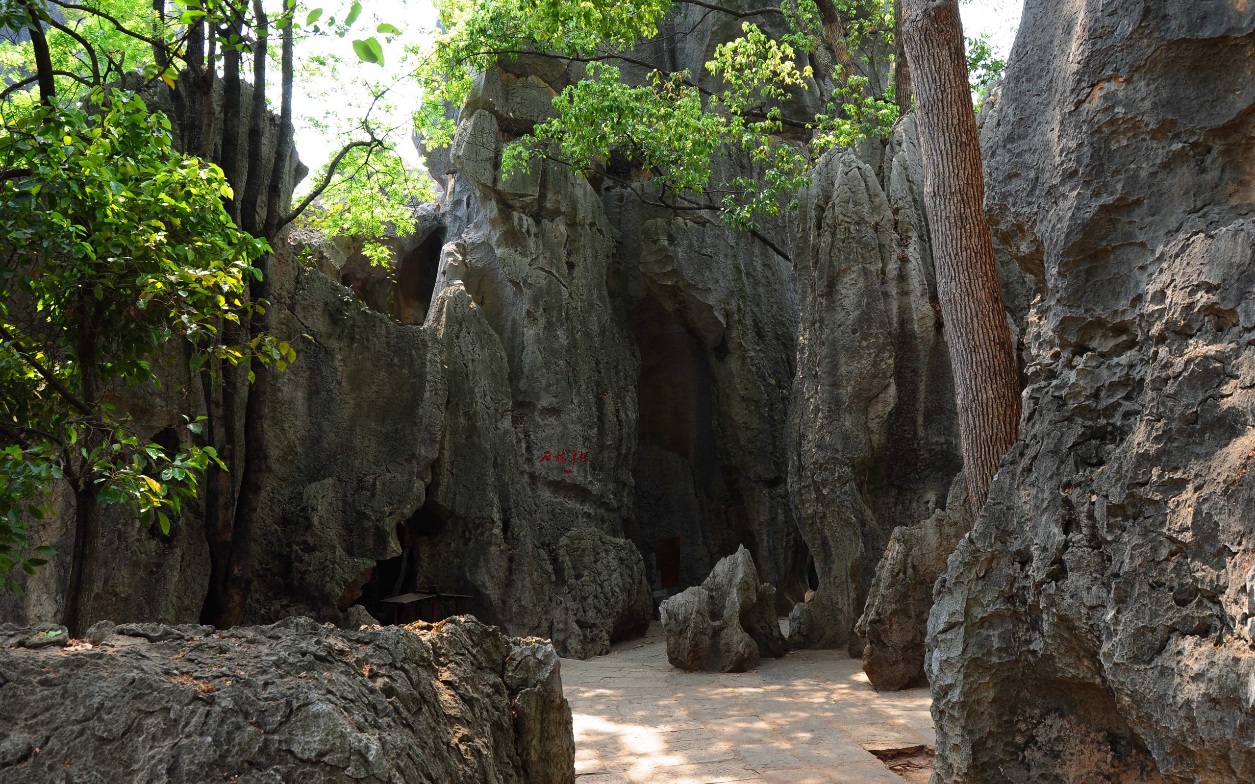 Forêt de pierre dans la ligne du Yunnan (1) (œuvres loup Khitan) #6 - 2560x1600