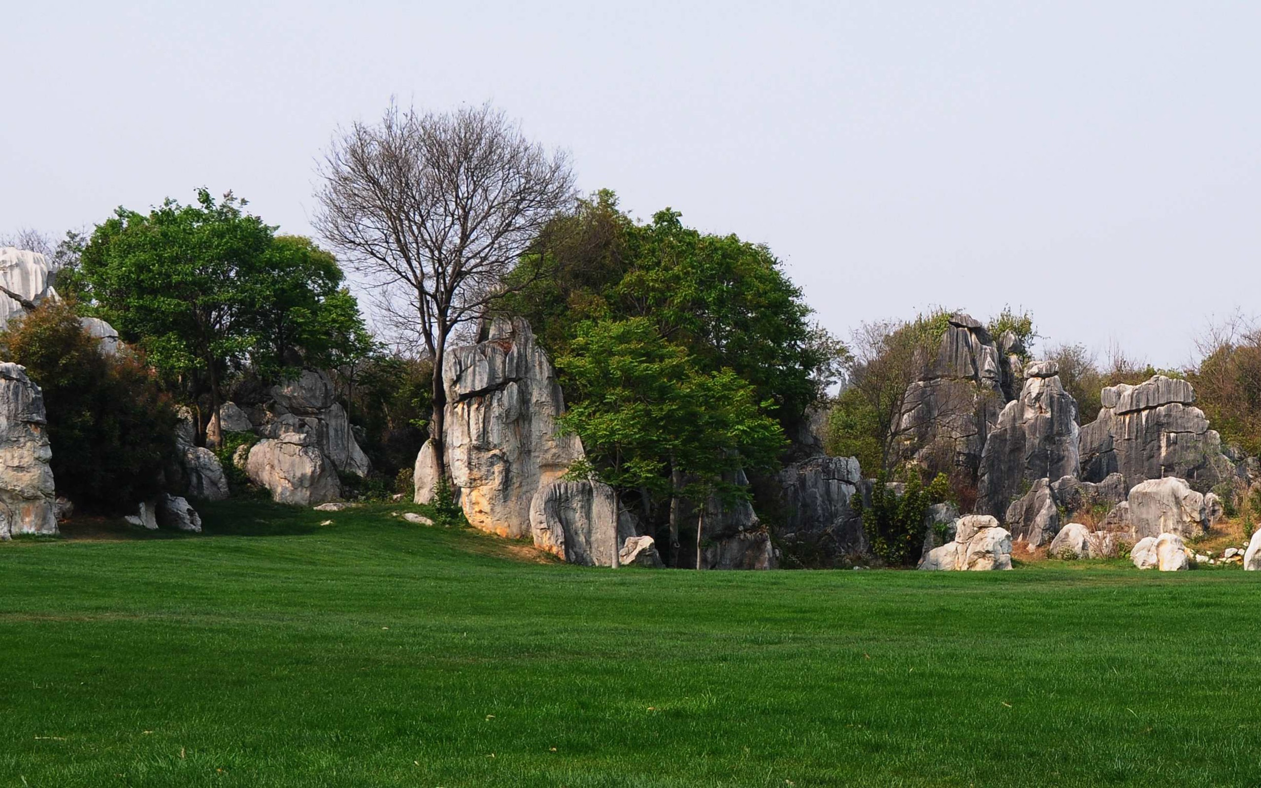 Stone Forest in Yunnan line (2) (Khitan wolf works) #34 - 2560x1600