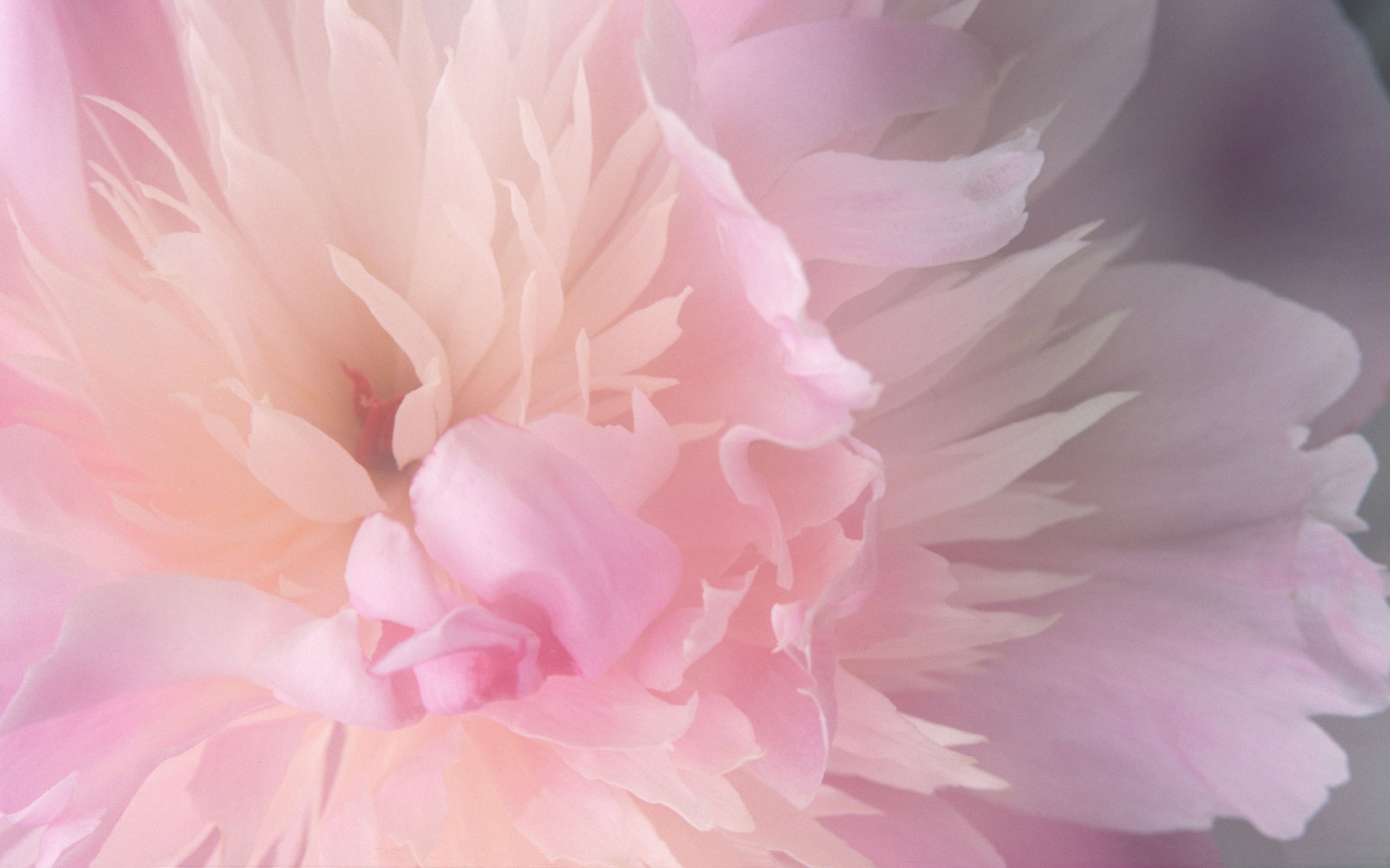 MAC OS X 系統 高清壁紙(一) #5 - 2560x1600