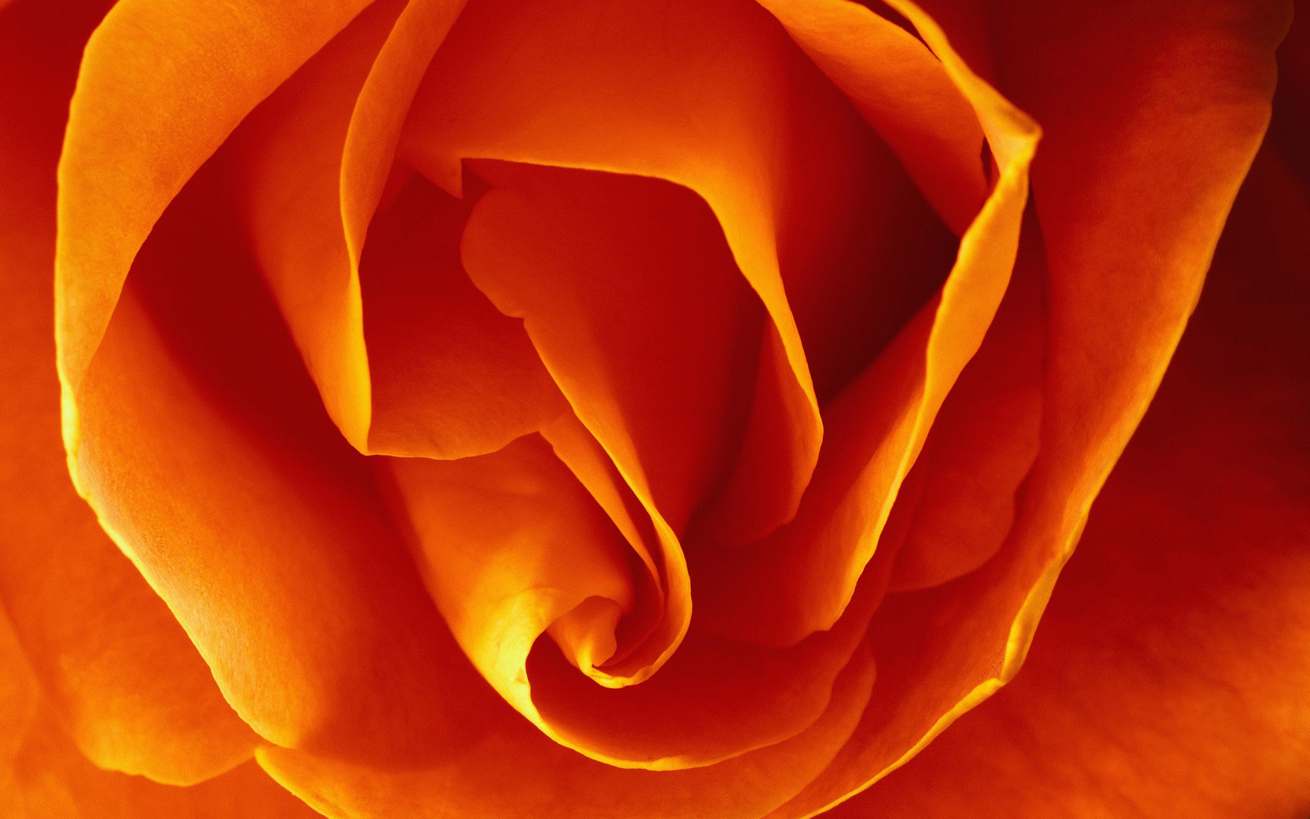 MAC OS X 系統 高清壁紙(一) #6 - 2560x1600