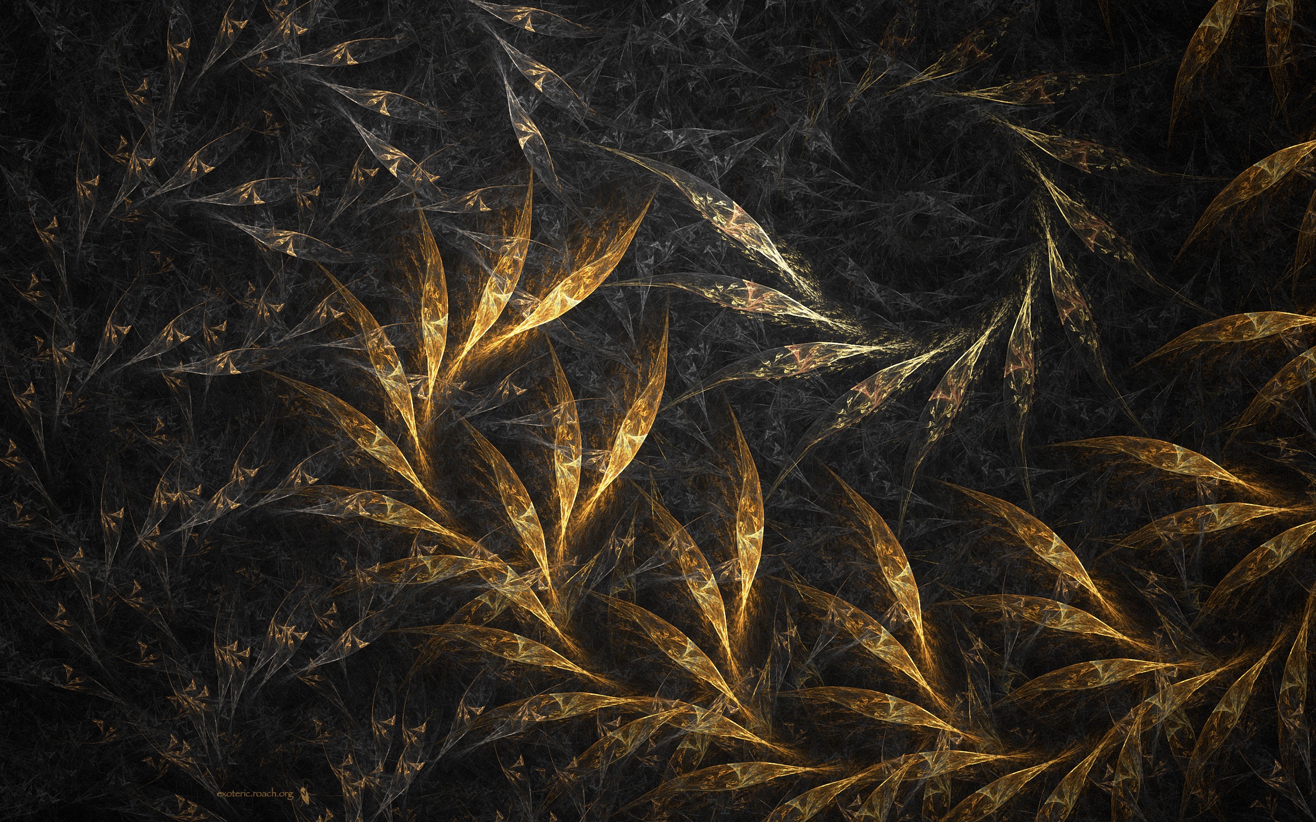 超大炫彩花紋 壁紙(一) #3 - 2560x1600