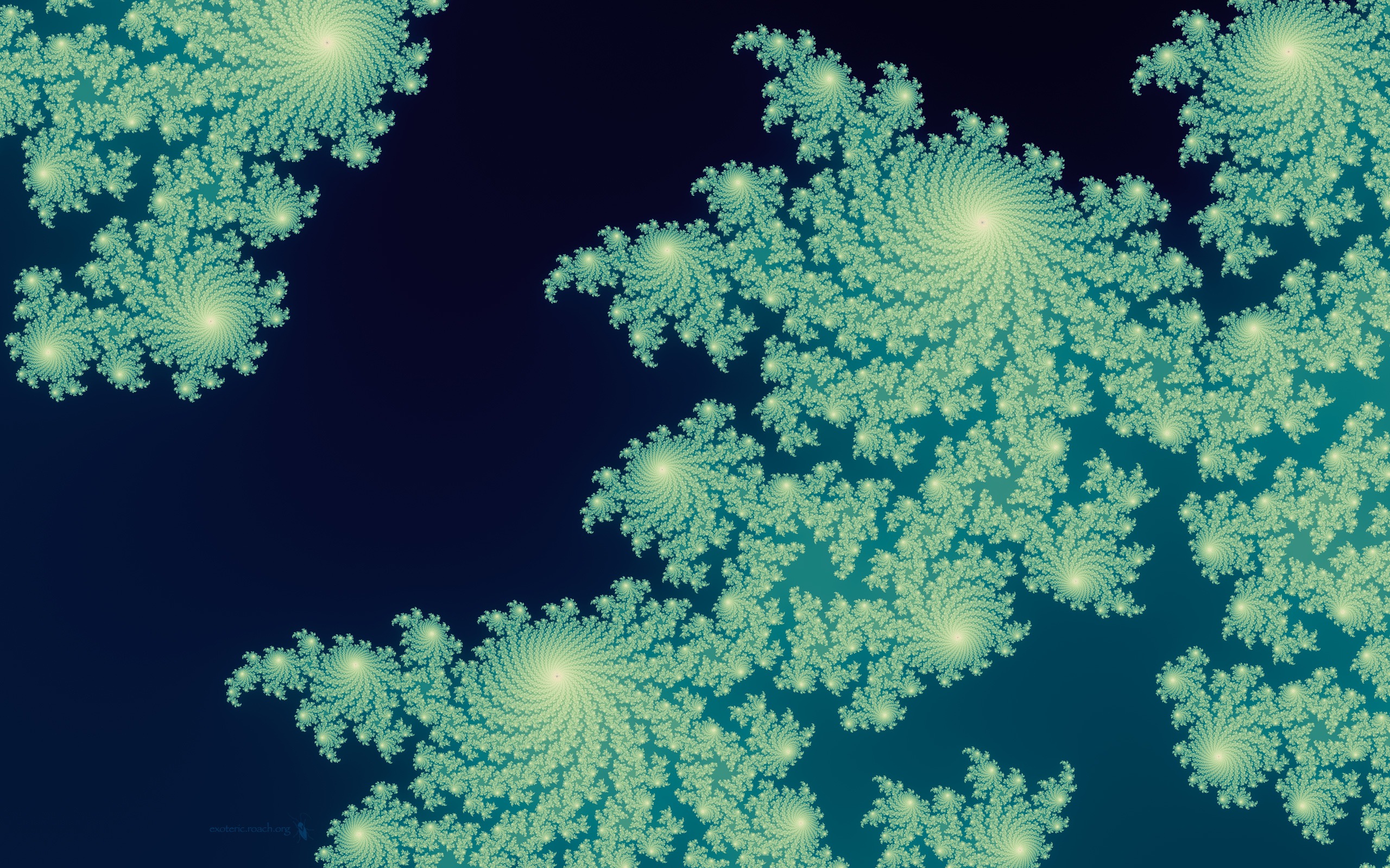 超大炫彩花紋 壁紙(一) #5 - 2560x1600