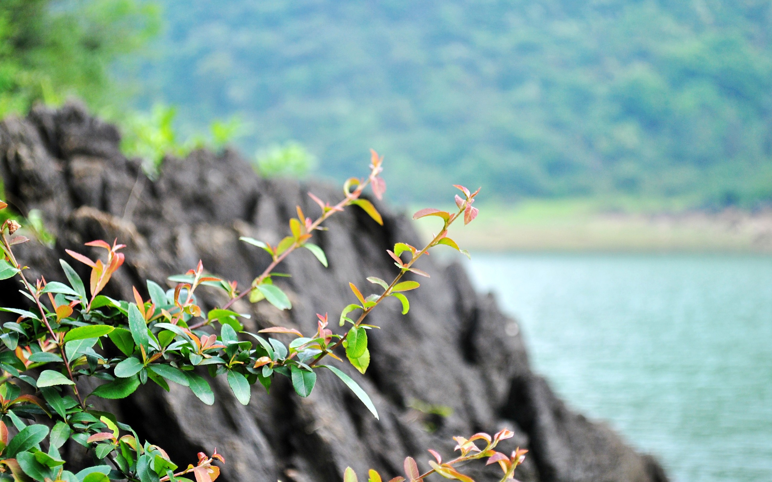 風景隨拍(一) (根竹井作品) #3 - 2560x1600