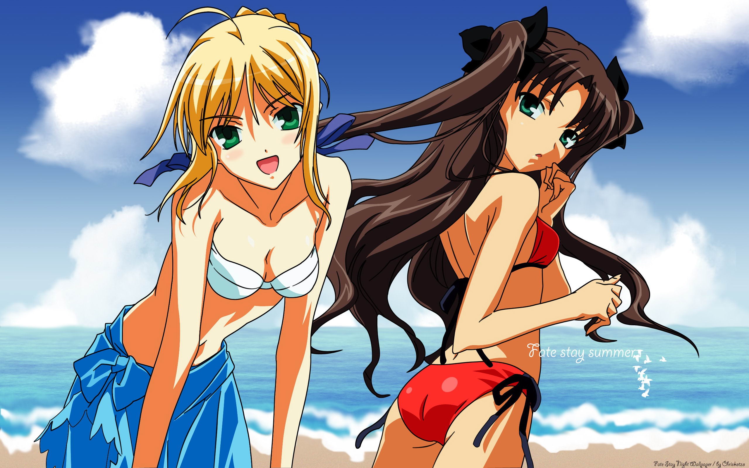 Fate stay night 命運待夜臨 高清壁紙 #4 - 2560x1600