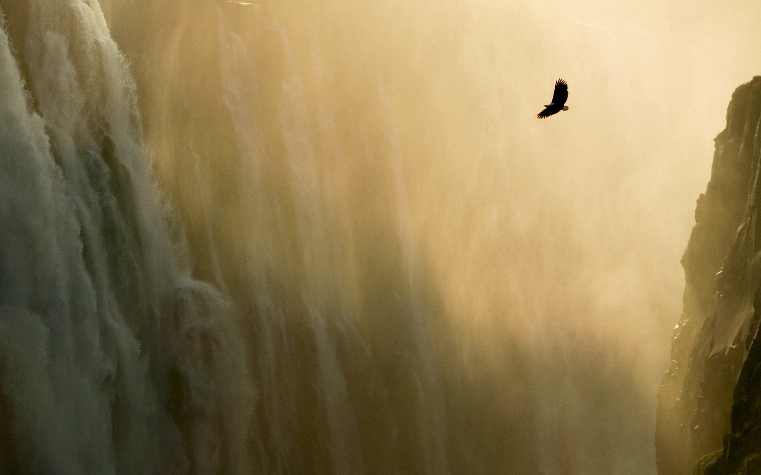 Mac OS X Lion 蘋果系統獅子 官方高清壁紙 #5 - 2560x1600
