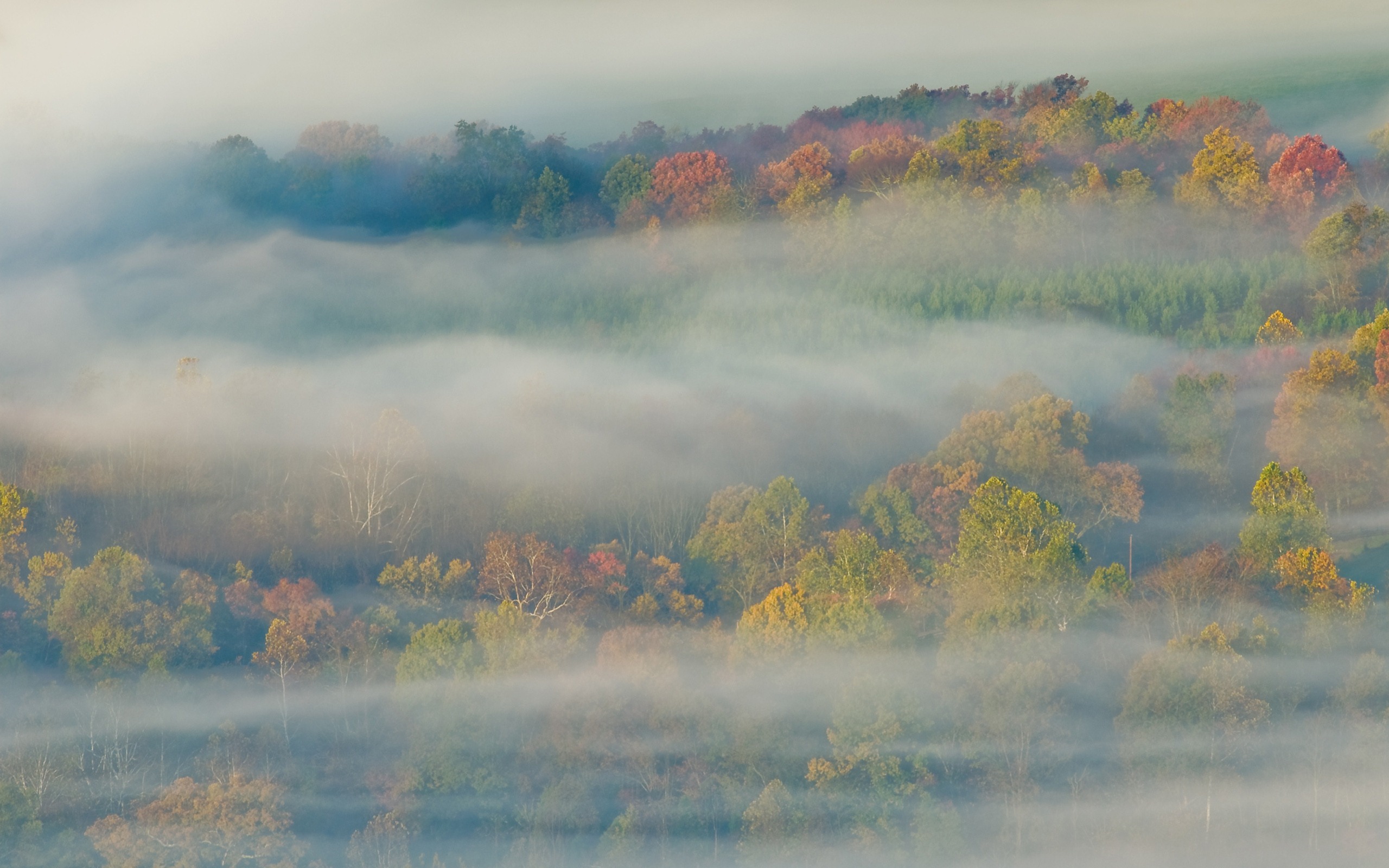 Mac OS Xのライオンのアップル公式のシステムのHDの壁紙 #9 - 2560x1600