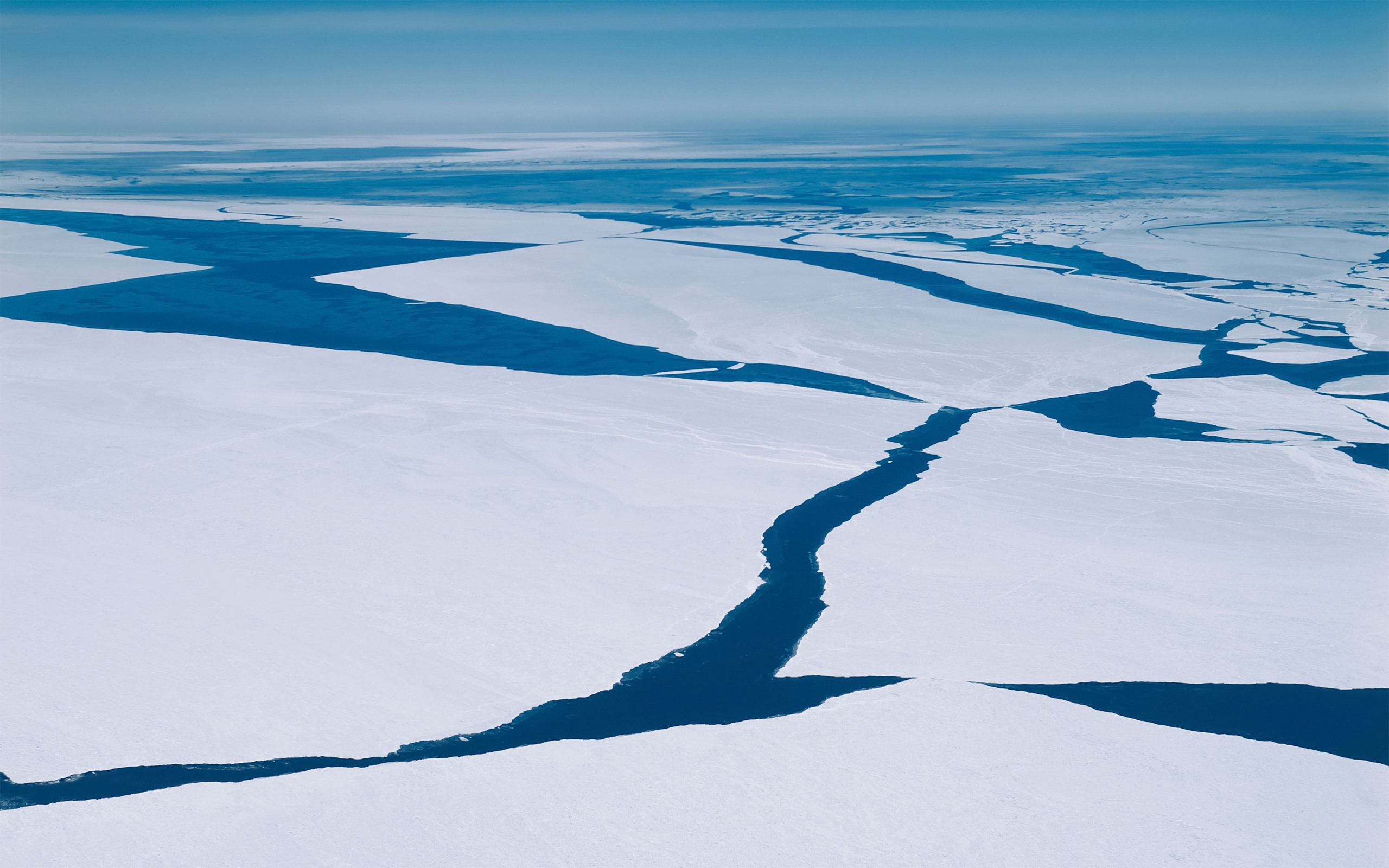 Mac OS XのマウンテンライオンDP4のアップル公式のシステムのHDの壁紙 #8 - 2560x1600