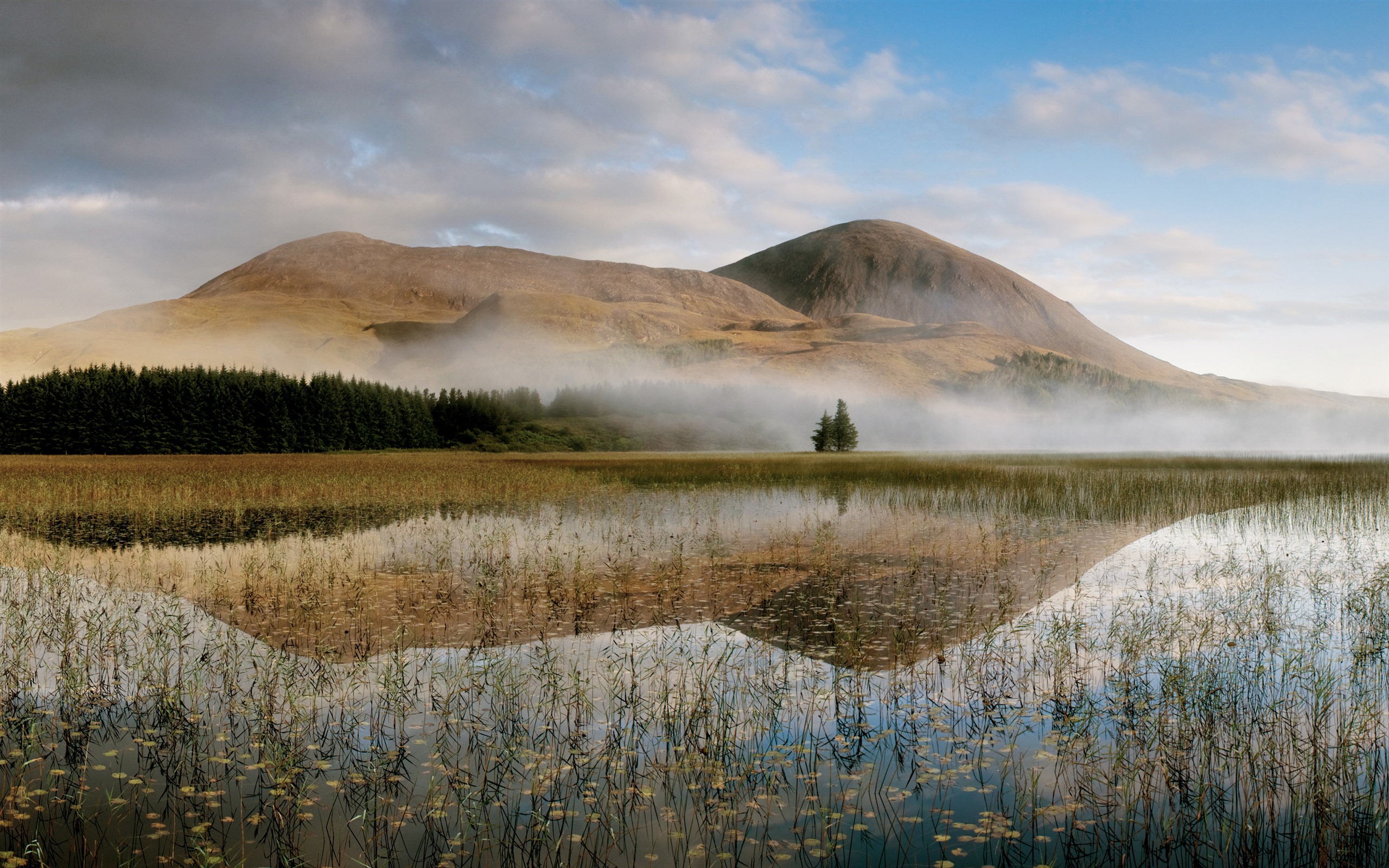 Mac OS X Mountain Lion 苹果山狮系统 隐藏的高清壁纸24 - 2560x1600