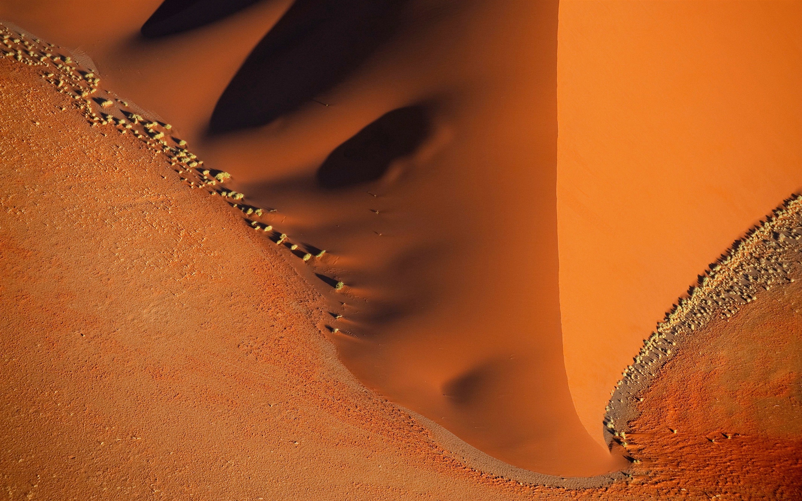 Mac OS X Mountain Lion 蘋果山獅系統隱藏的高清壁紙 #26 - 2560x1600