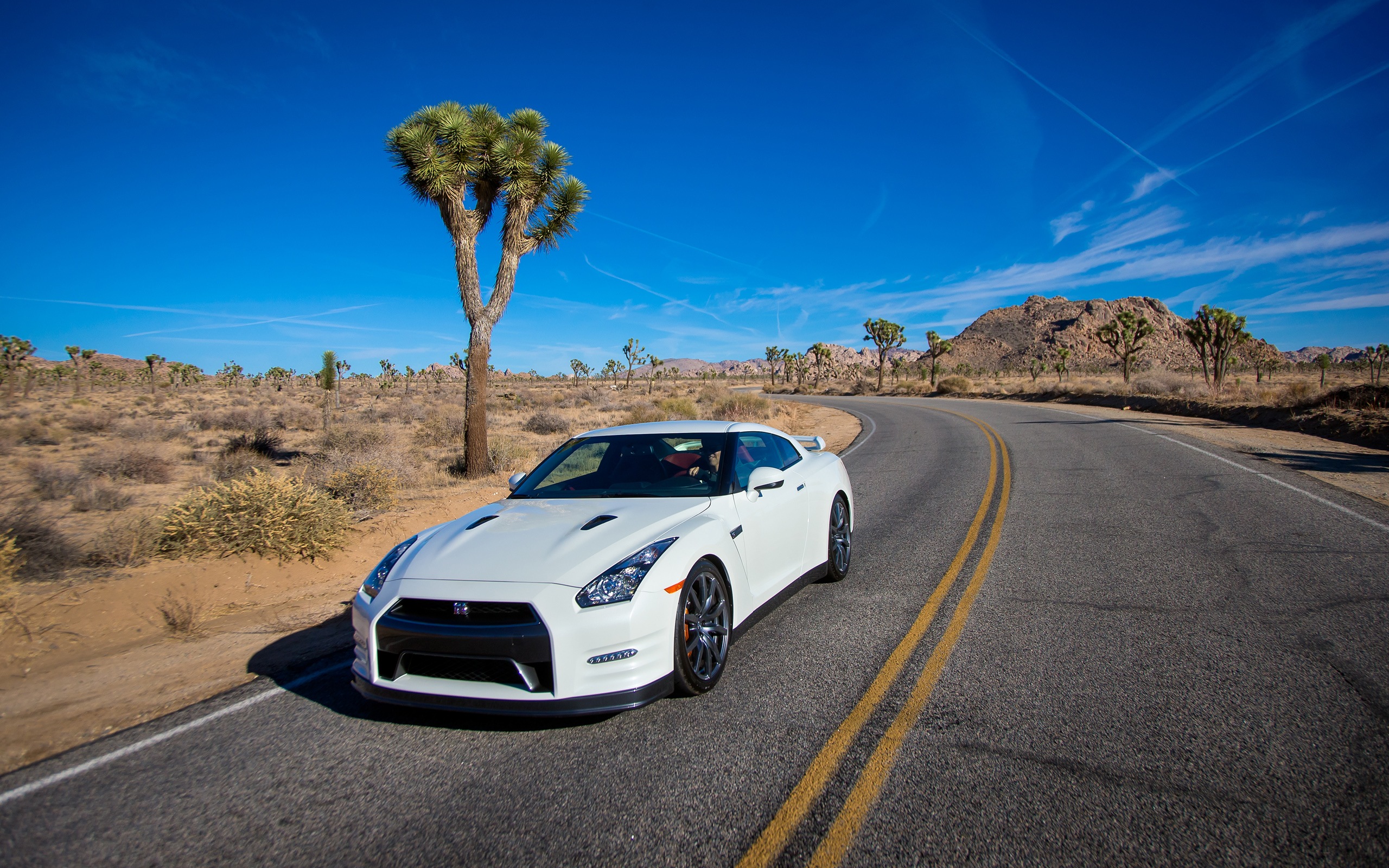 2013 Nissan GT-R R35 USA version 日产 美国版 高清壁纸3 - 2560x1600