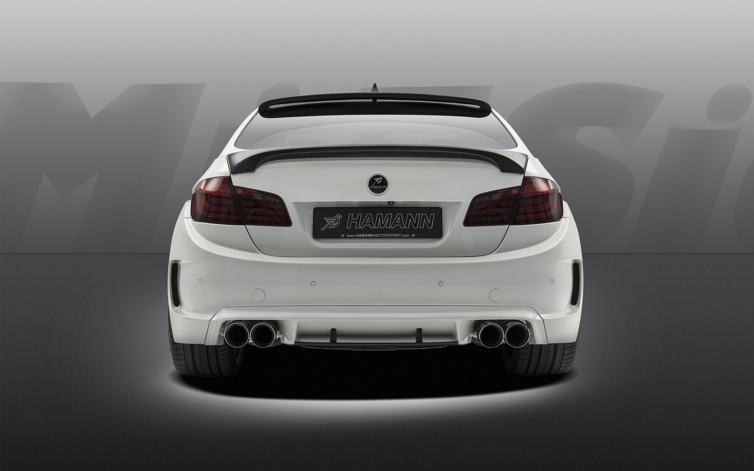 2013 Hamann M5 Mi5sion 哈曼M5 Mi5sion豪華車高清壁紙 #18 - 2560x1600