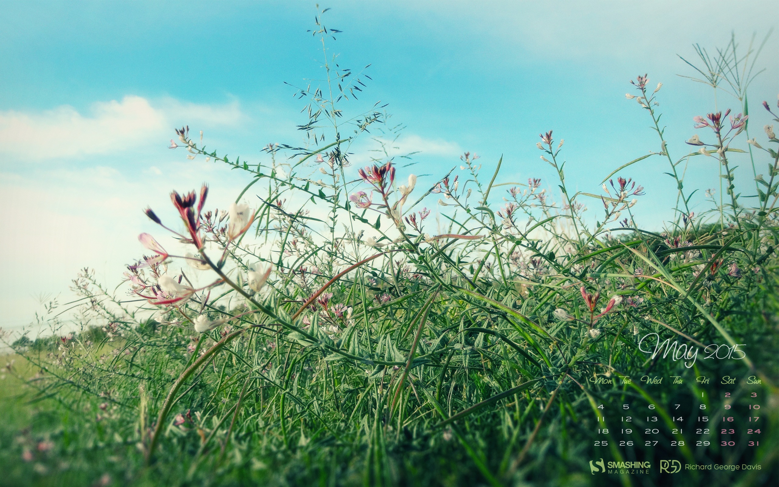 05. 2015 kalendář tapety (2) #10 - 2560x1600