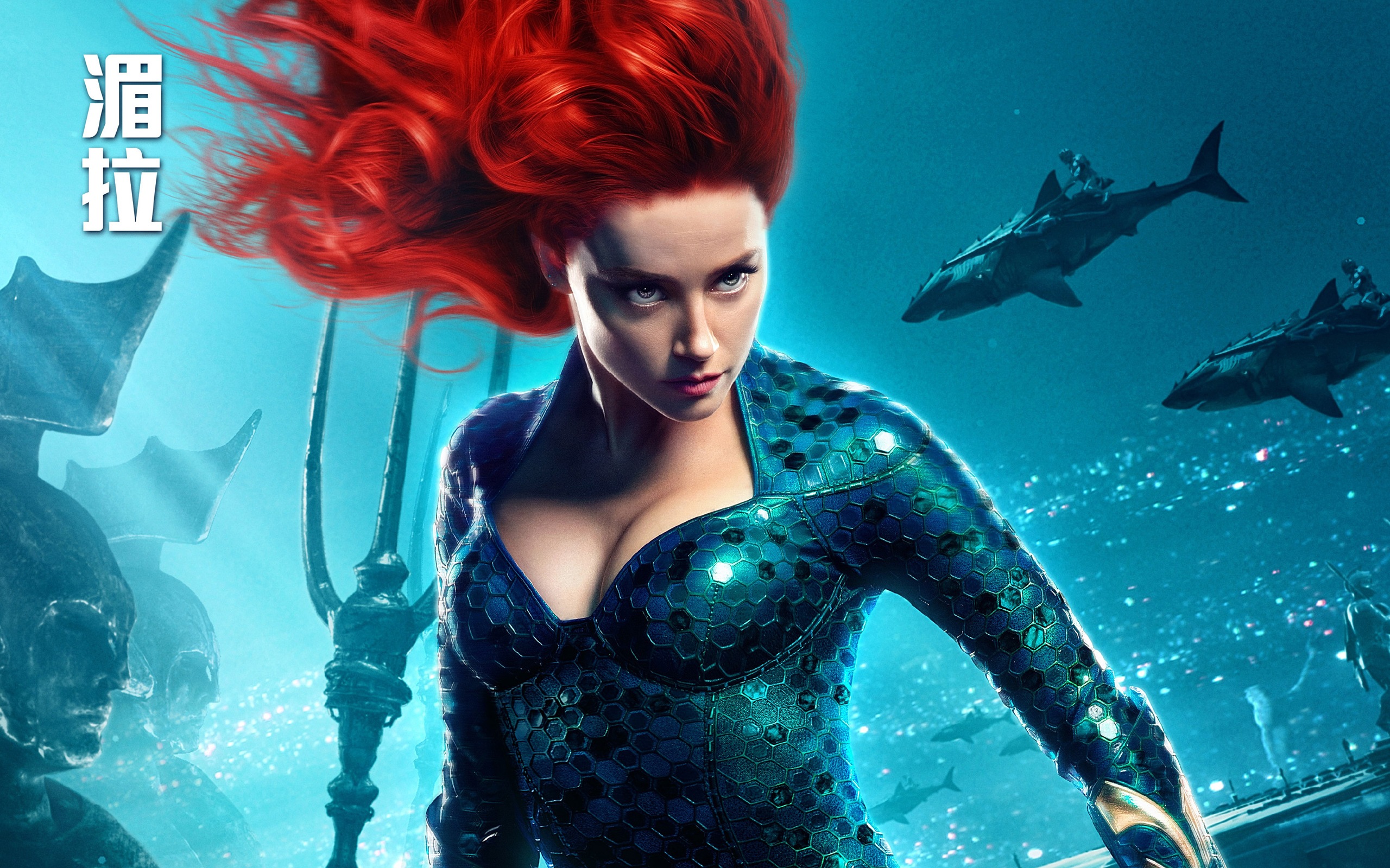 Aquaman 海王，漫威電影高清壁紙 #2 - 2560x1600