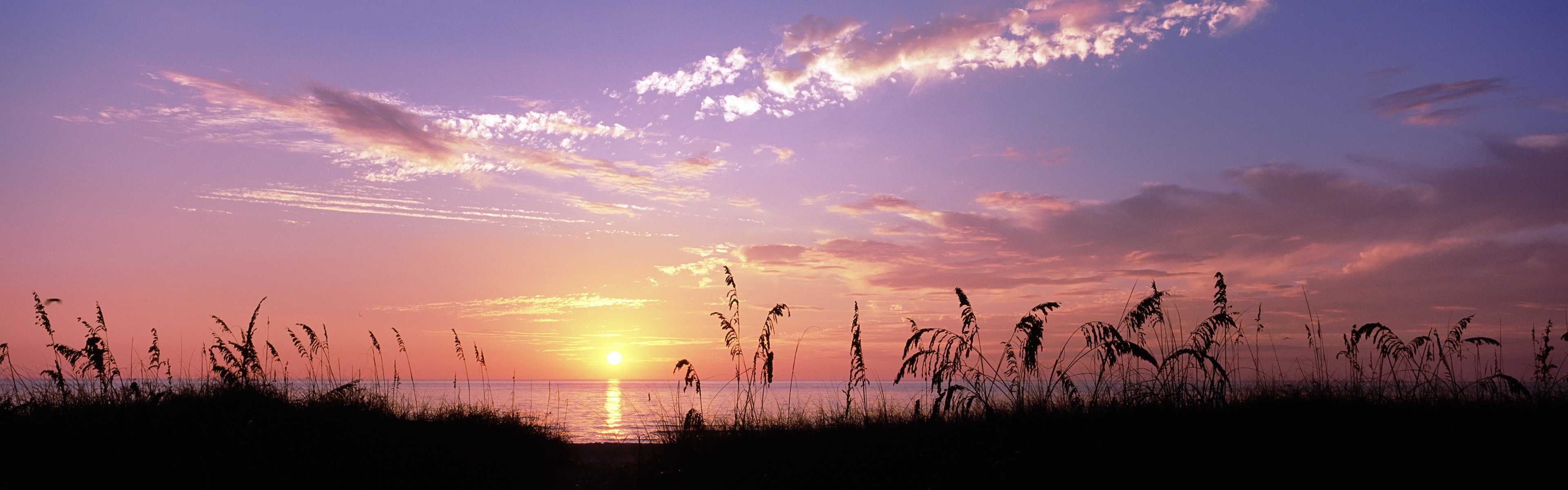 Windows 8 官方全景主題壁紙，城市風光，大橋，地平線 #21 - 3840x1200