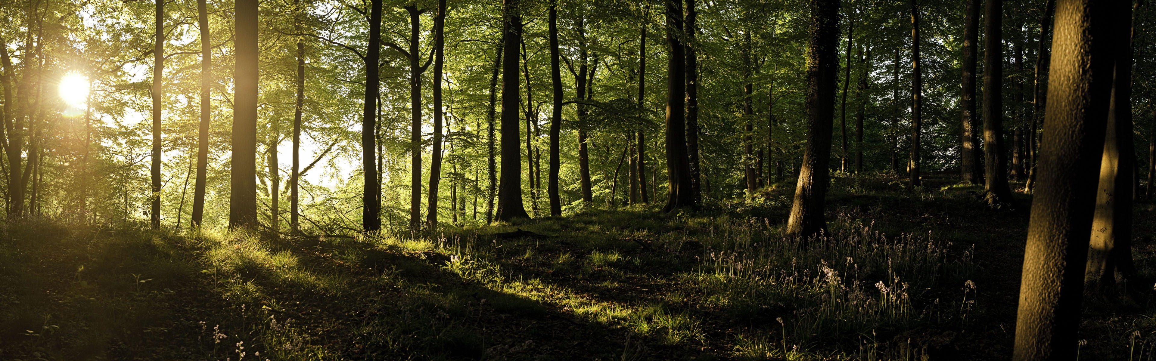 Windows 8 official panoramic wallpaper, waves, forests, majestic mountains #6 - 3840x1200