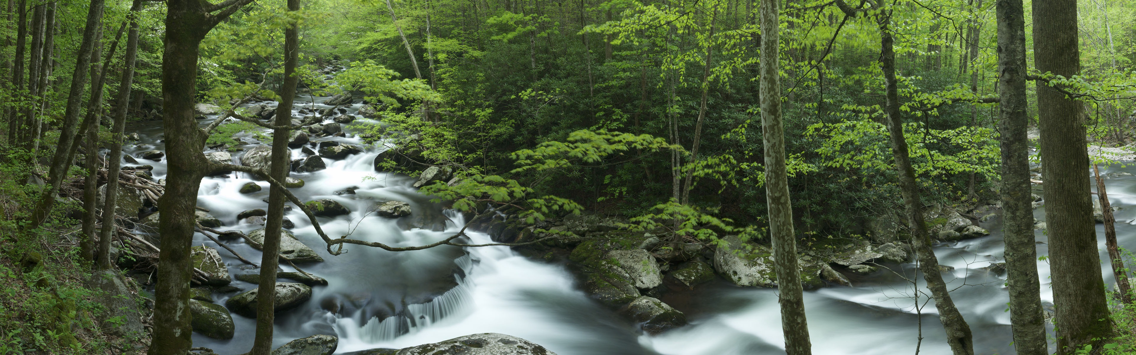 Windows 8 official panoramic wallpaper, waves, forests, majestic mountains #8 - 3840x1200