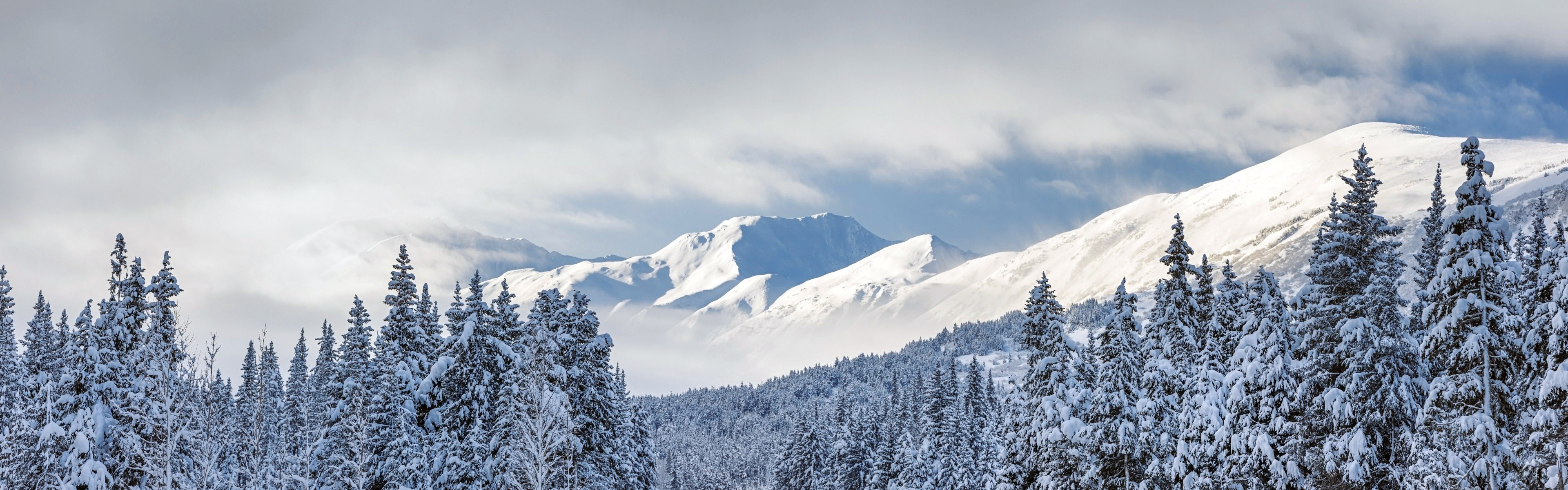 Belle neige froide d'hiver, de Windows 8 fonds d'écran widescreen panoramique #9 - 3840x1200