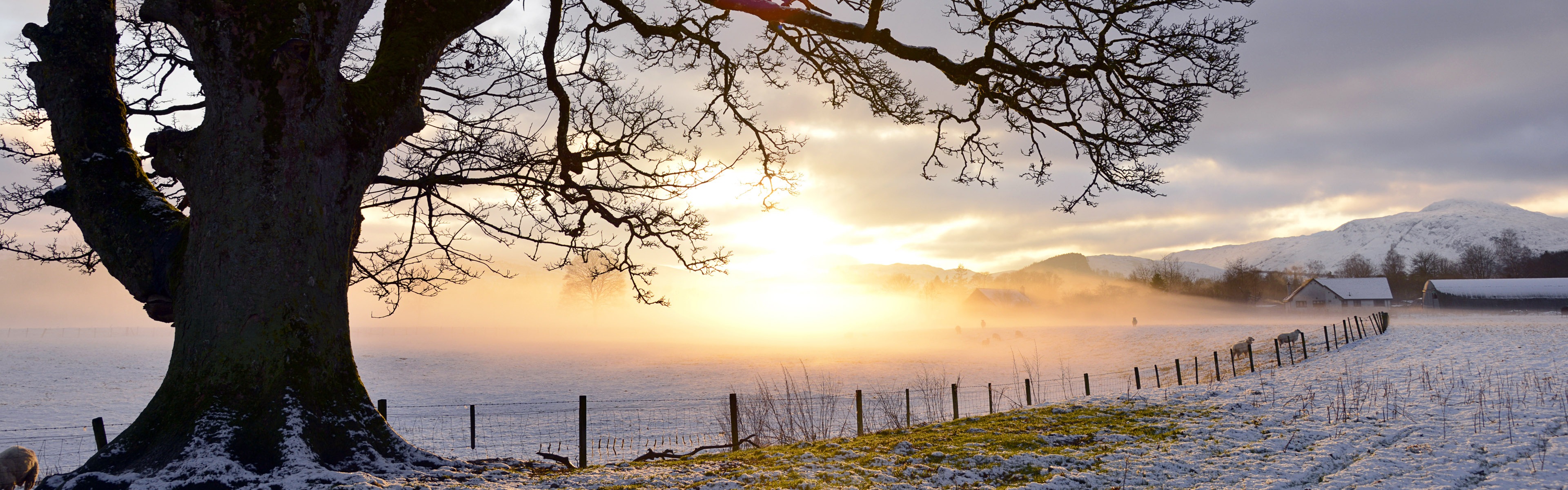 Beautiful cold winter snow, Windows 8 panoramic widescreen wallpapers #11 - 3840x1200