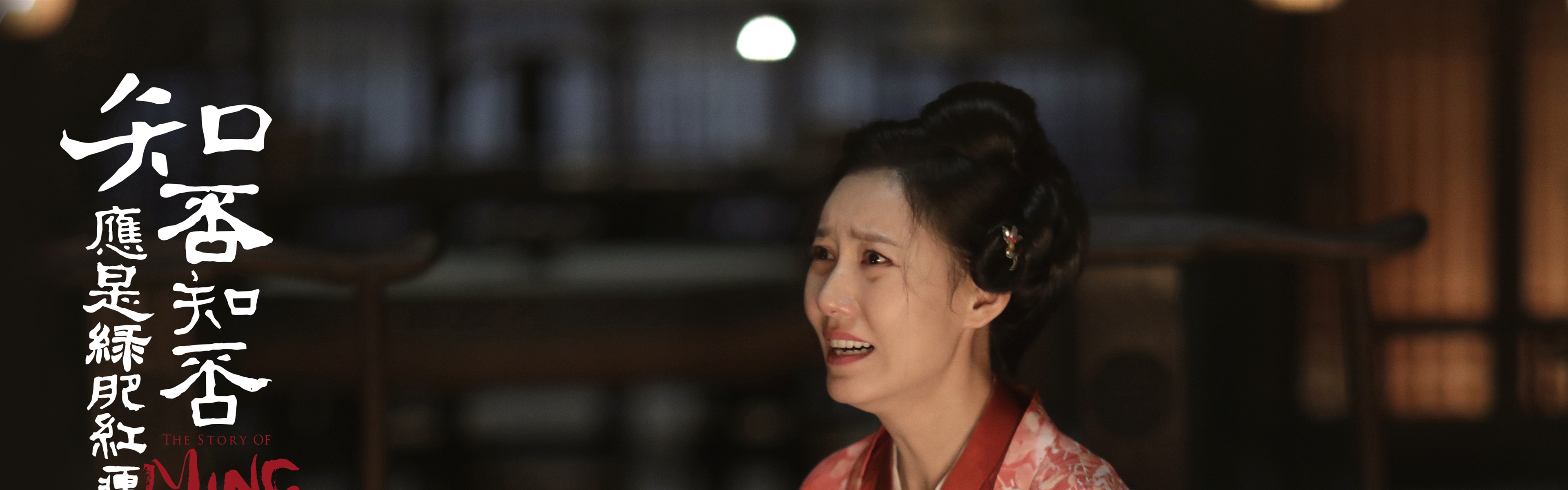 知否知否應是綠肥紅瘦 電視劇高清壁紙 #17 - 3840x1200
