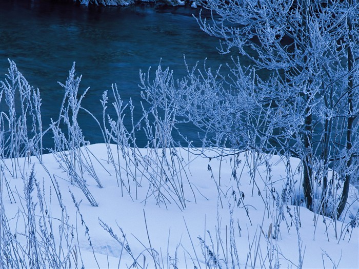 forêt, la neige fond d'écran (1) #9