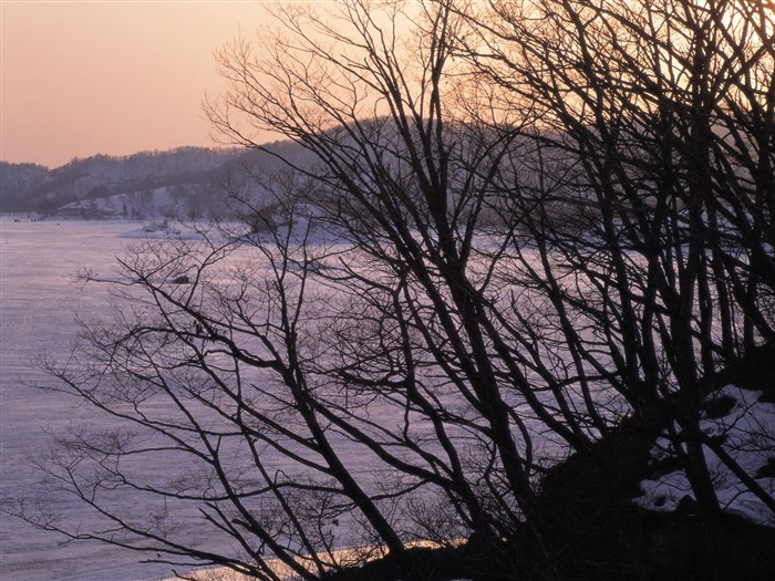 forêt, la neige fond d'écran (2) #8